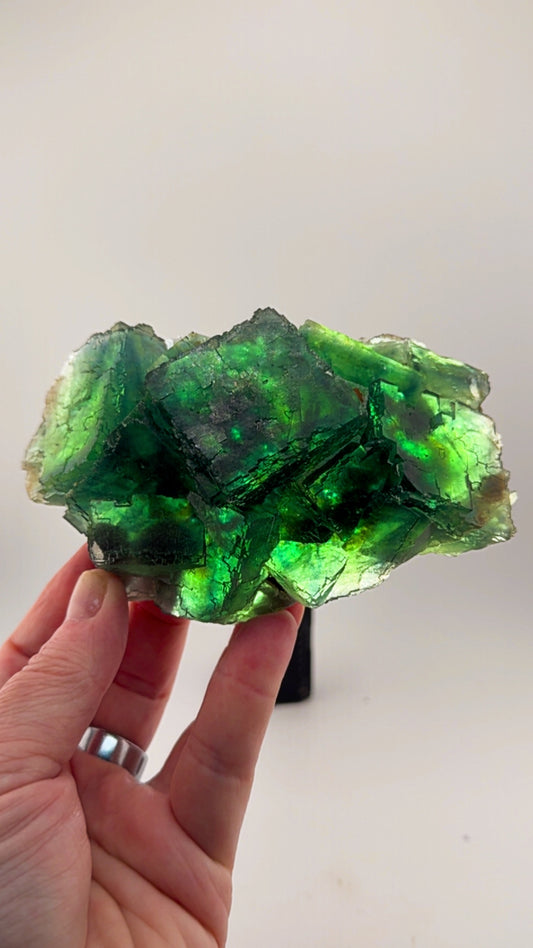 Incredible Okorusu Fluorite 550+ grams