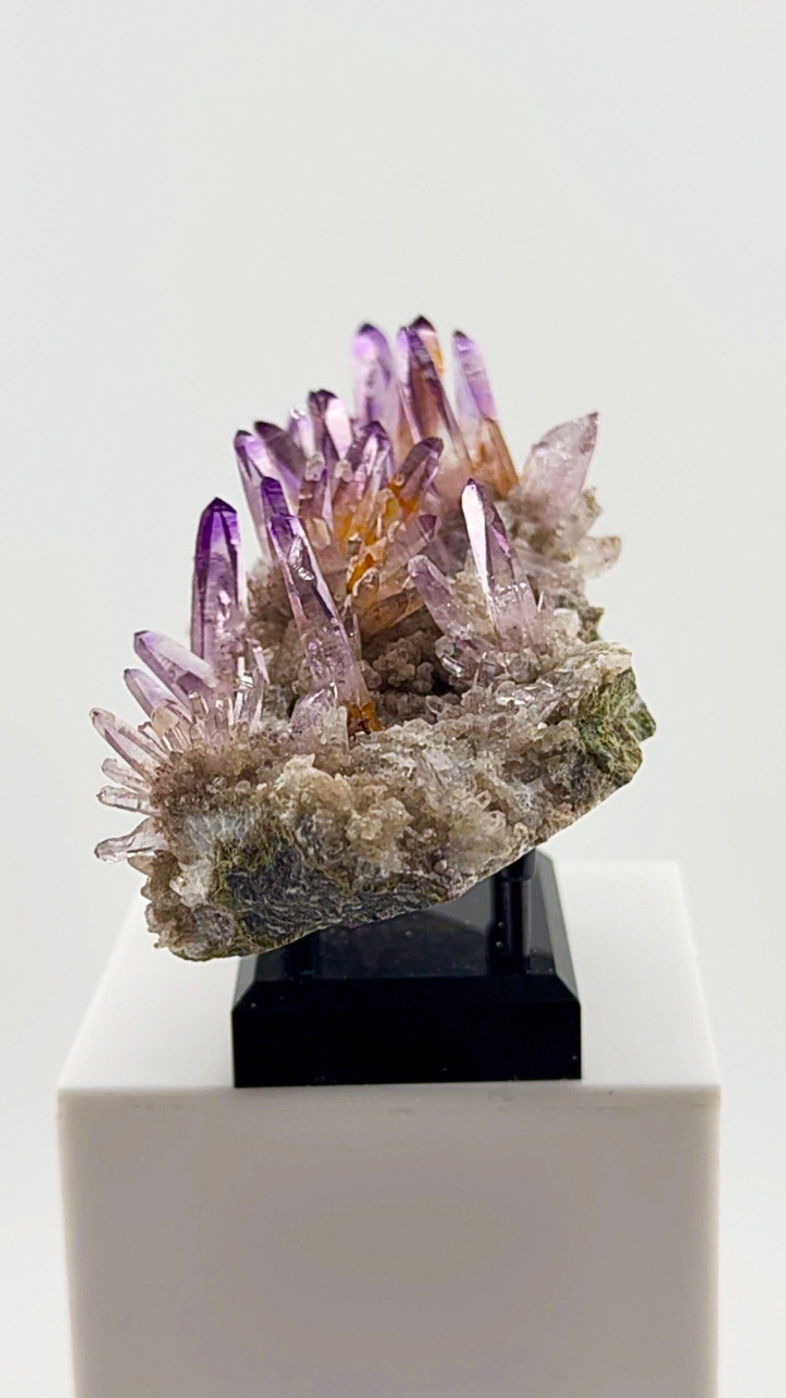 Veracruz amethyst has a personality all its own.