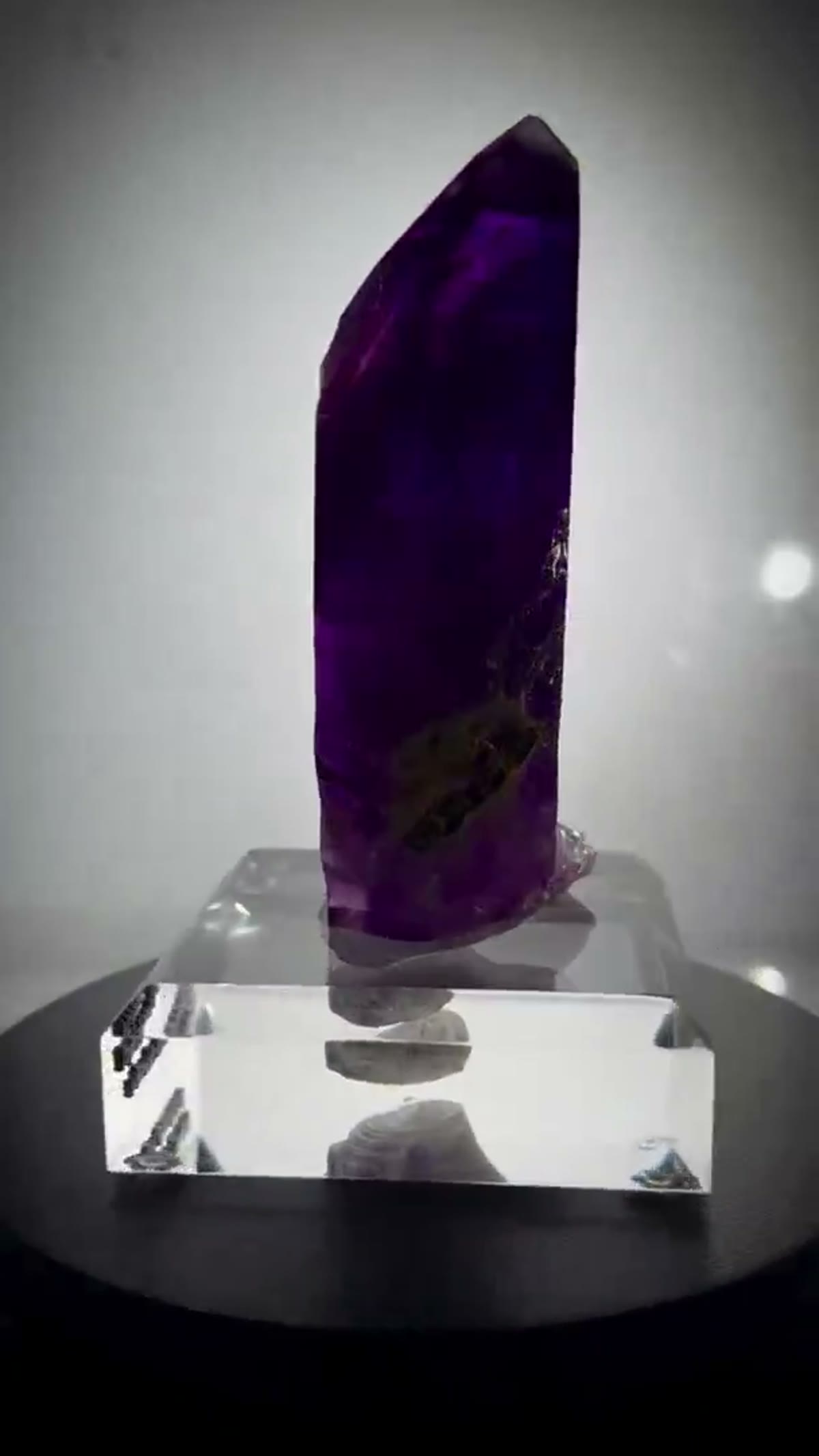 Amethyst Specimen from Buks Claim, Namibia: Mind. Blown. Introducing the Absolute Blurple Buks Claim - view 2