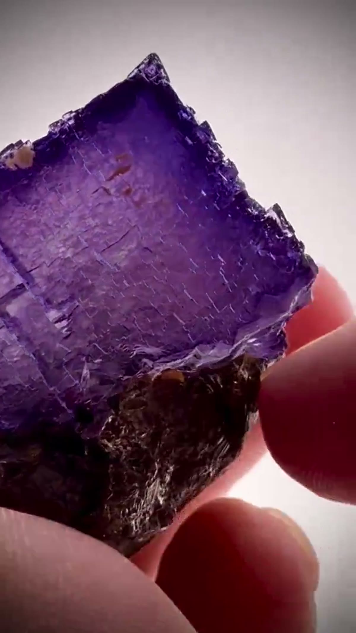 Fluorite Specimen from Elmwood Mine, Tennessee: Stunning Elmwood Mine Fluorite with Sphalerite - view 2