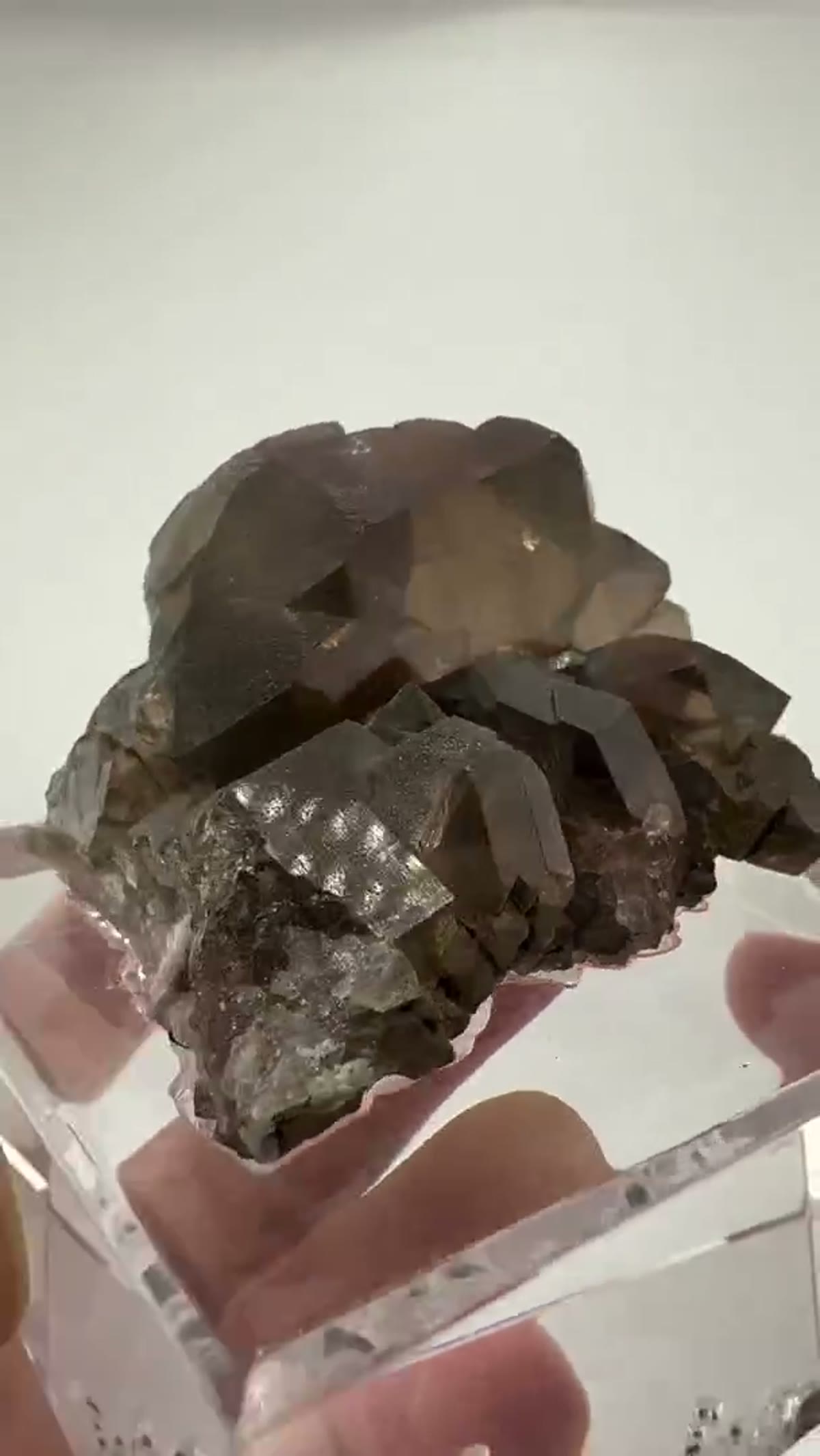 Smoky Quartz Specimen: Discover the breathtaking beauty of Smoky Quartz Gwindel - view 2
