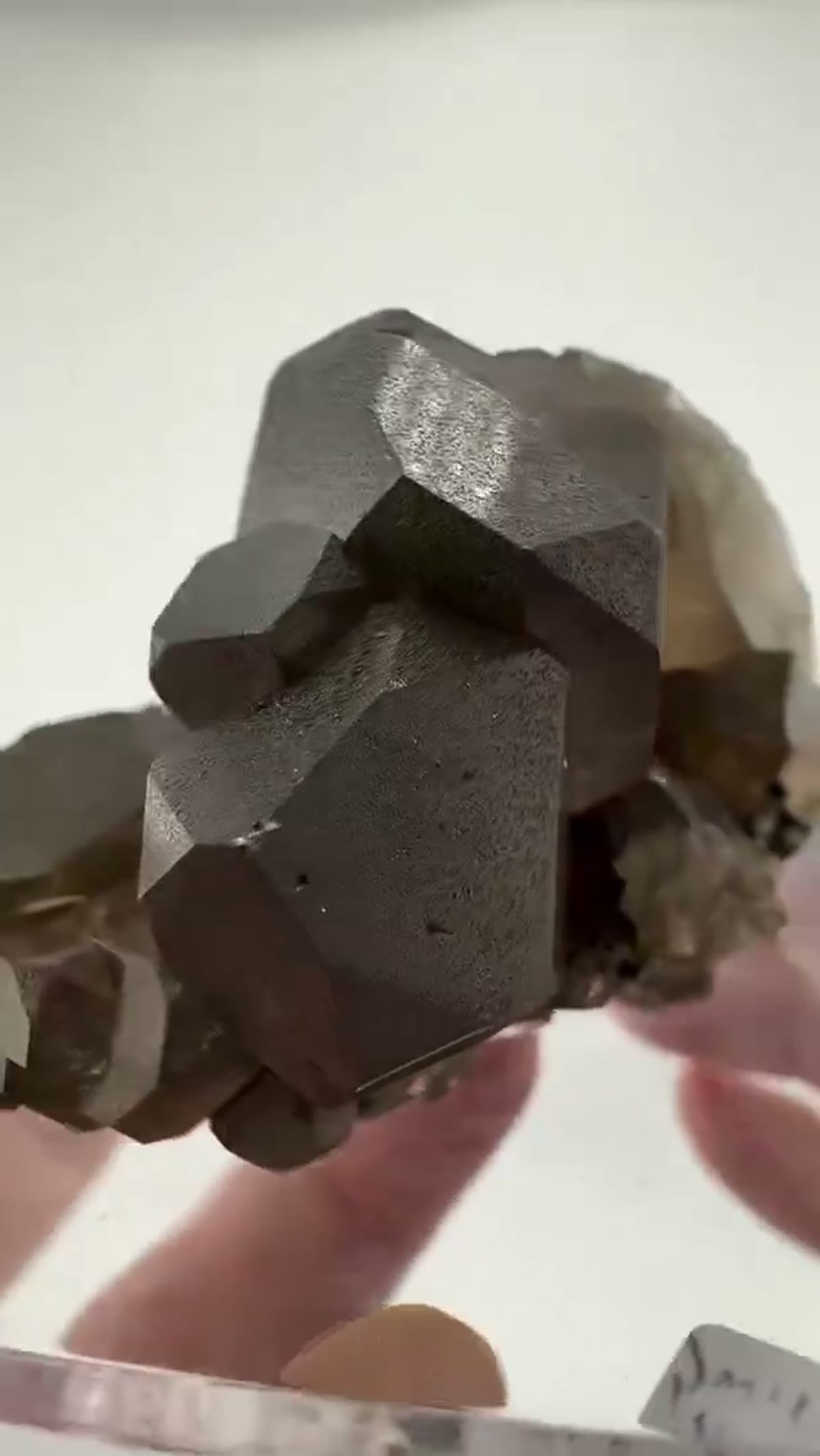 Smoky Quartz Specimen: Discover the breathtaking beauty of Smoky Quartz Gwindel - view 3