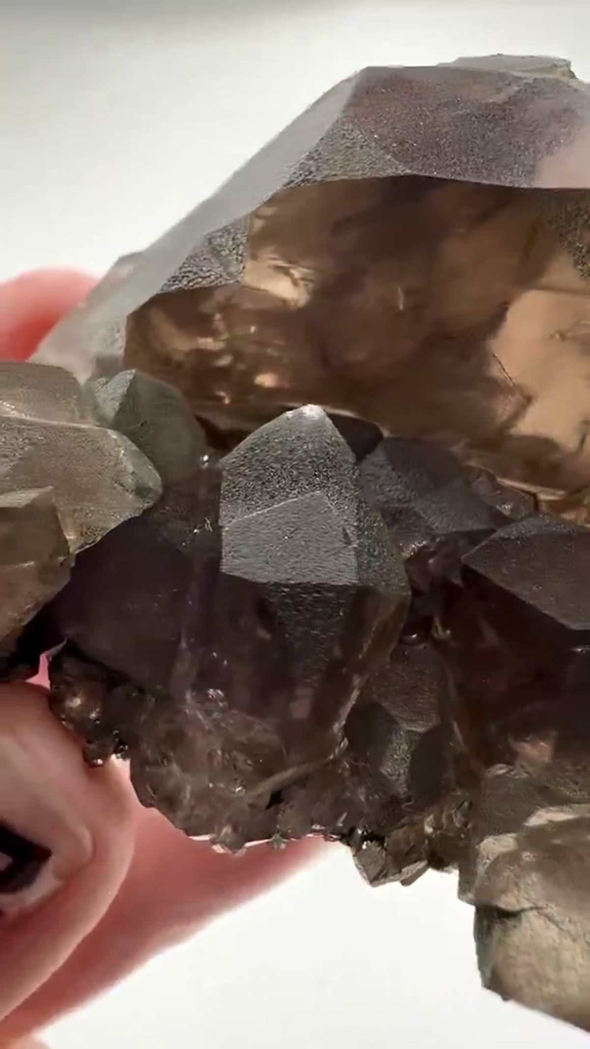 Smoky Quartz Specimen: Discover the breathtaking beauty of Smoky Quartz Gwindel - view 4