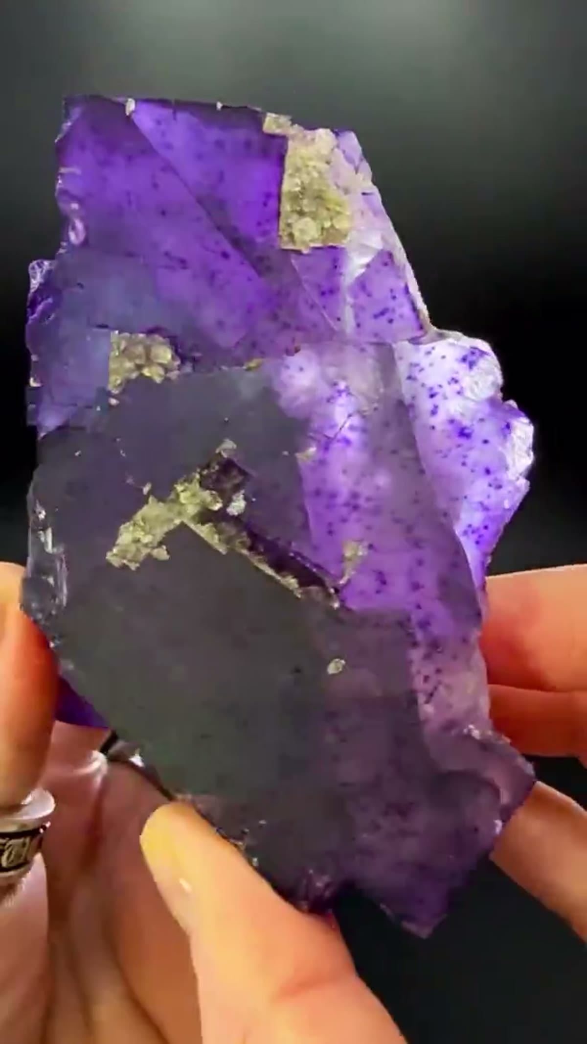 Fluorite Specimen from Hardin County, Illinois, 540 g: A true Illinois heavyweight … 1,540 grams of - view 2