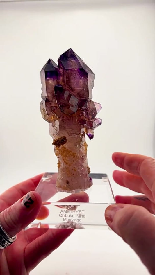 Magical Wand from the Earth’s Vault