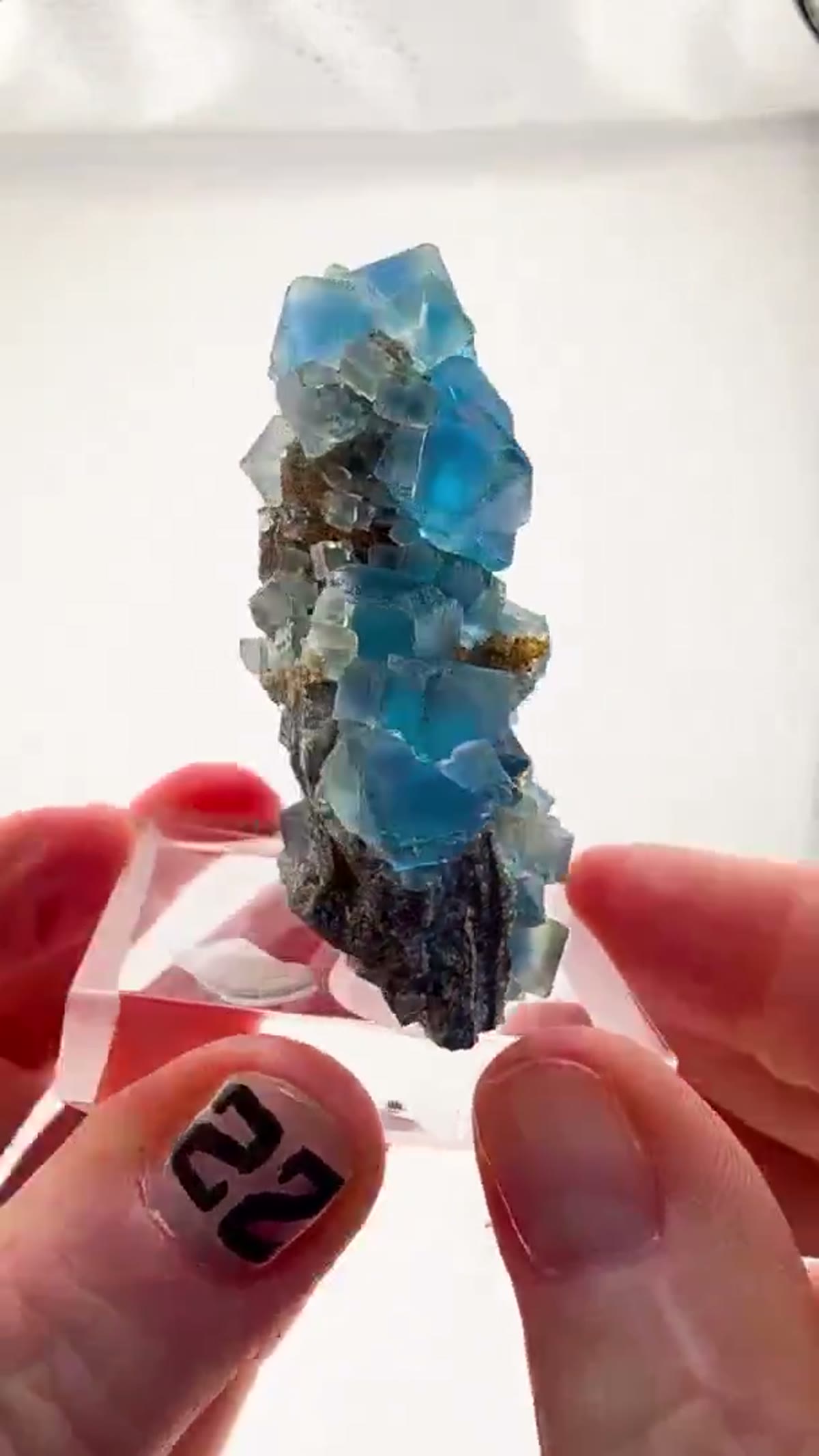 Fluorite Specimen: Blue Zoned Beauty - view 2