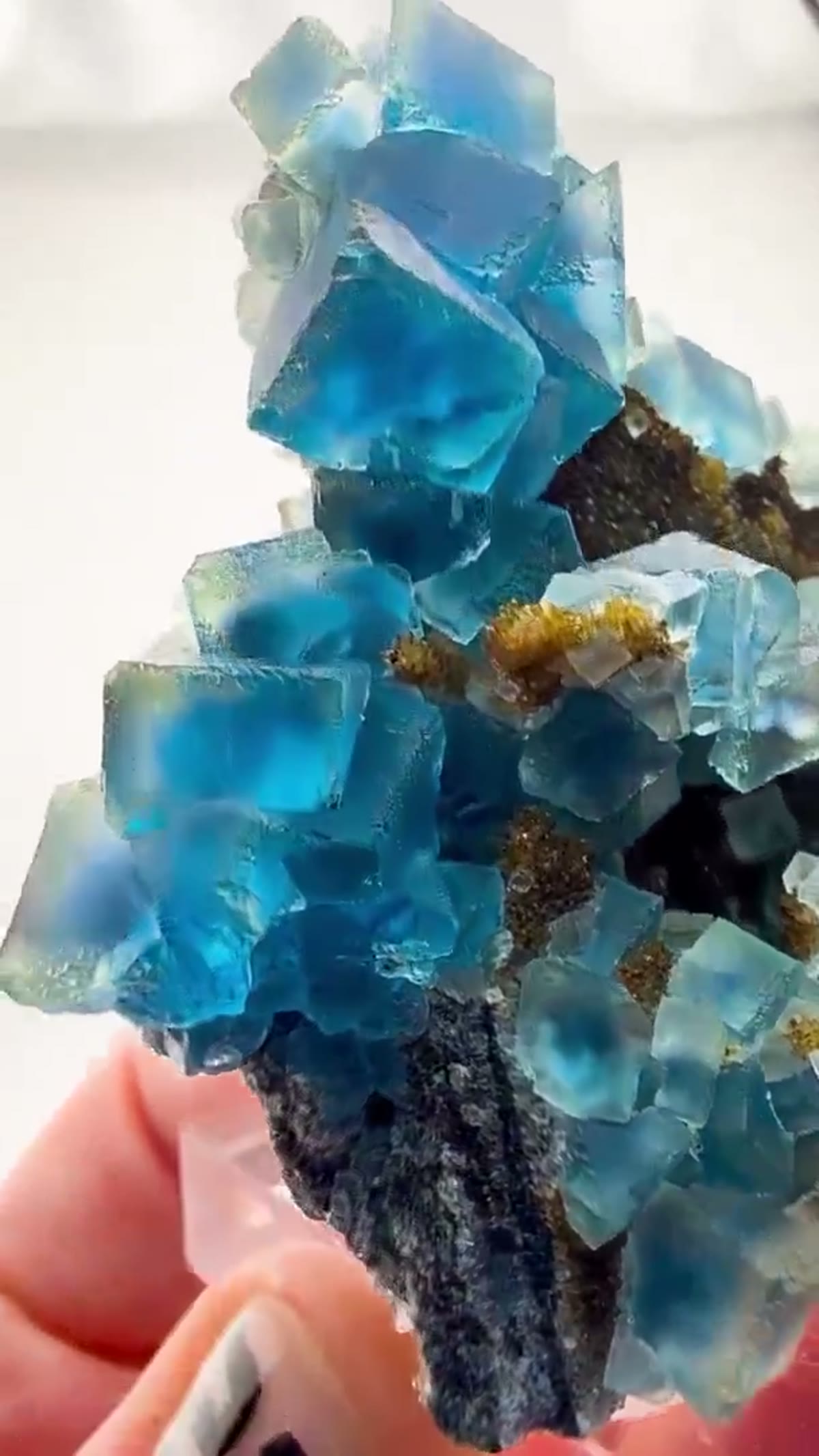 Fluorite Specimen: Blue Zoned Beauty - view 3