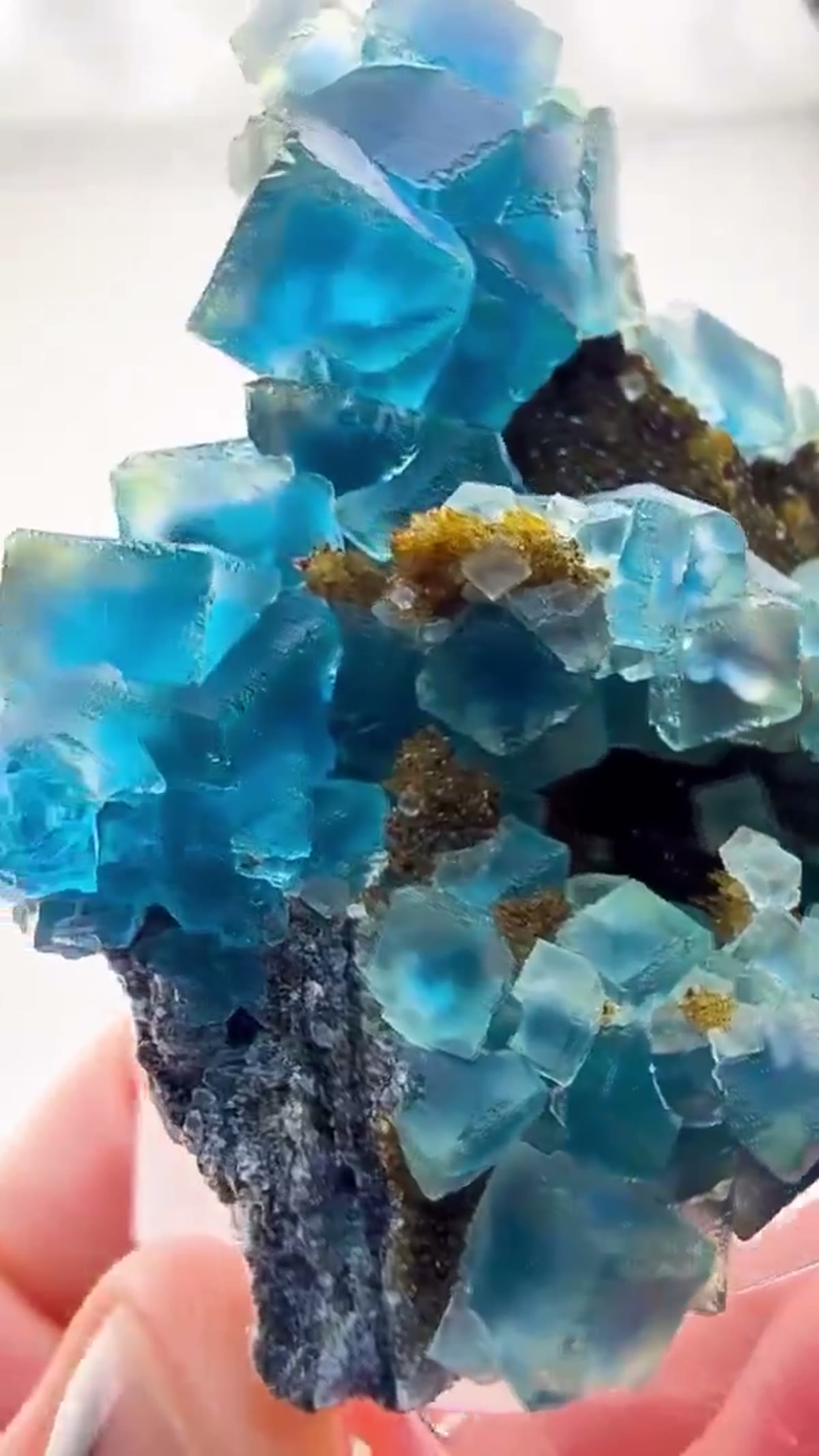 Fluorite Specimen: Blue Zoned Beauty - view 4