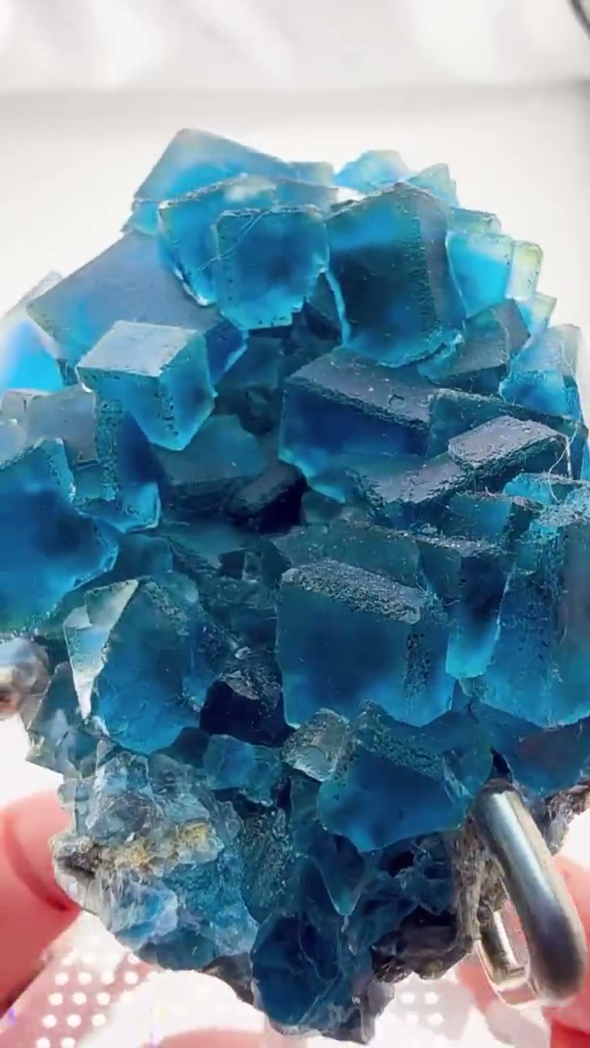 Fluorite Specimen: Blue Zone Carpet - view 2