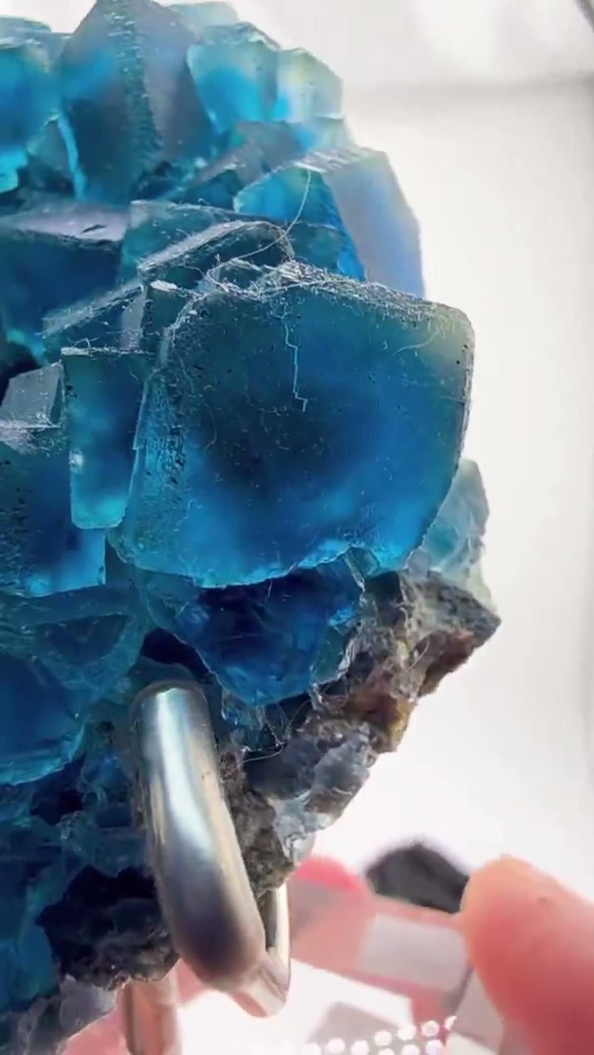 Fluorite Specimen: Blue Zone Carpet - view 3