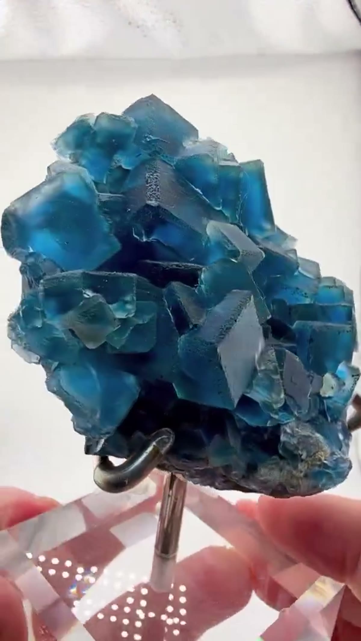 Fluorite Specimen: Blue Zone Carpet - view 4
