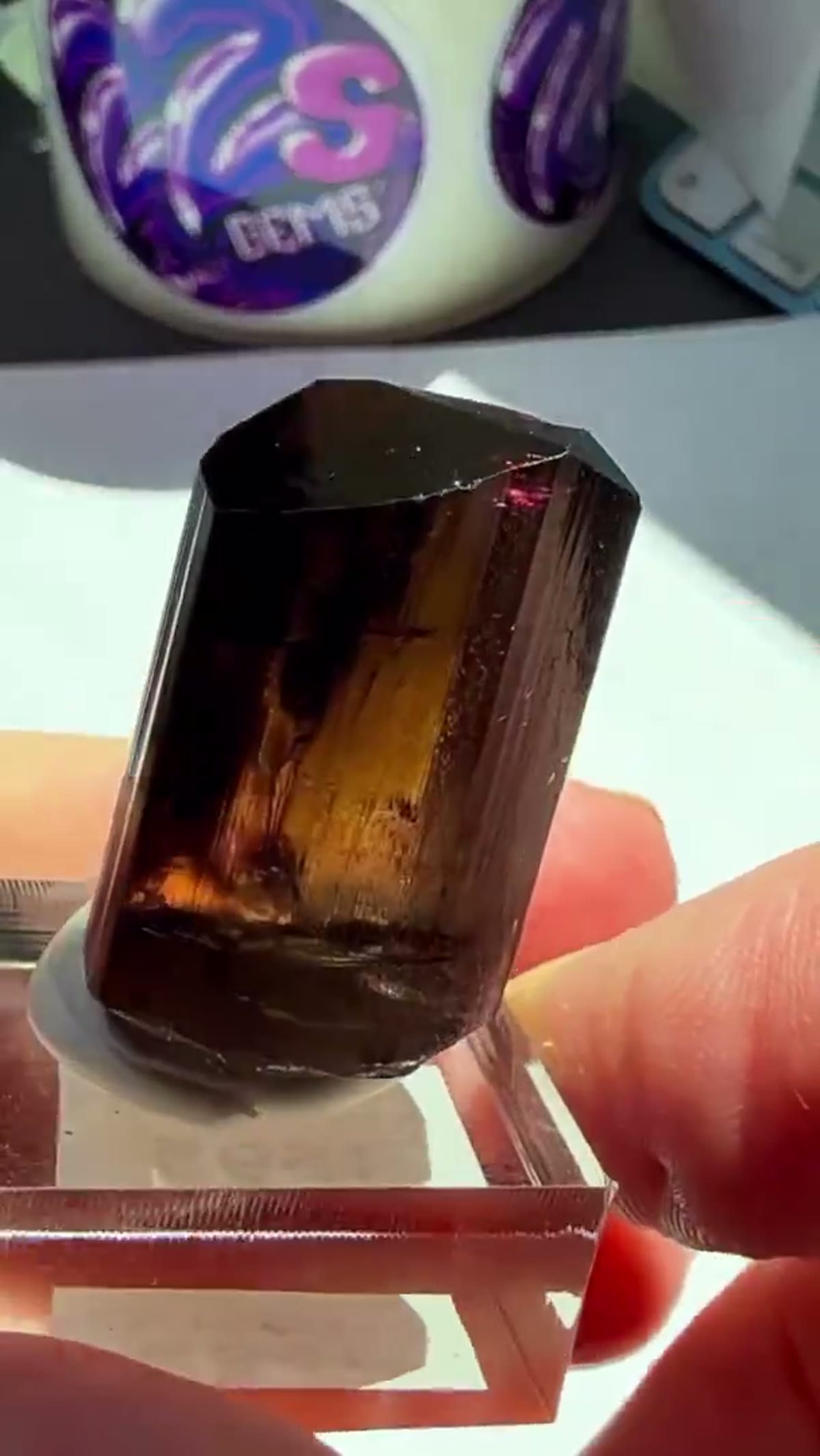 Elbaite Tourmaline Specimen, 16 g: Pure Russian magic - view 2