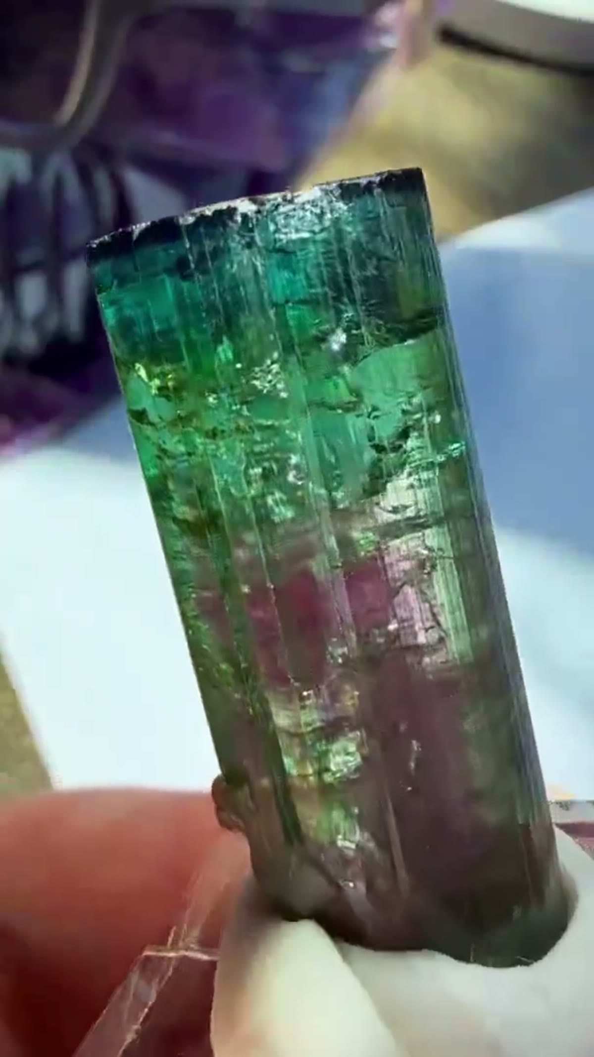 Elbaite Tourmaline Specimen from Minas Gerais, Brazil, 10.46 g - view 4