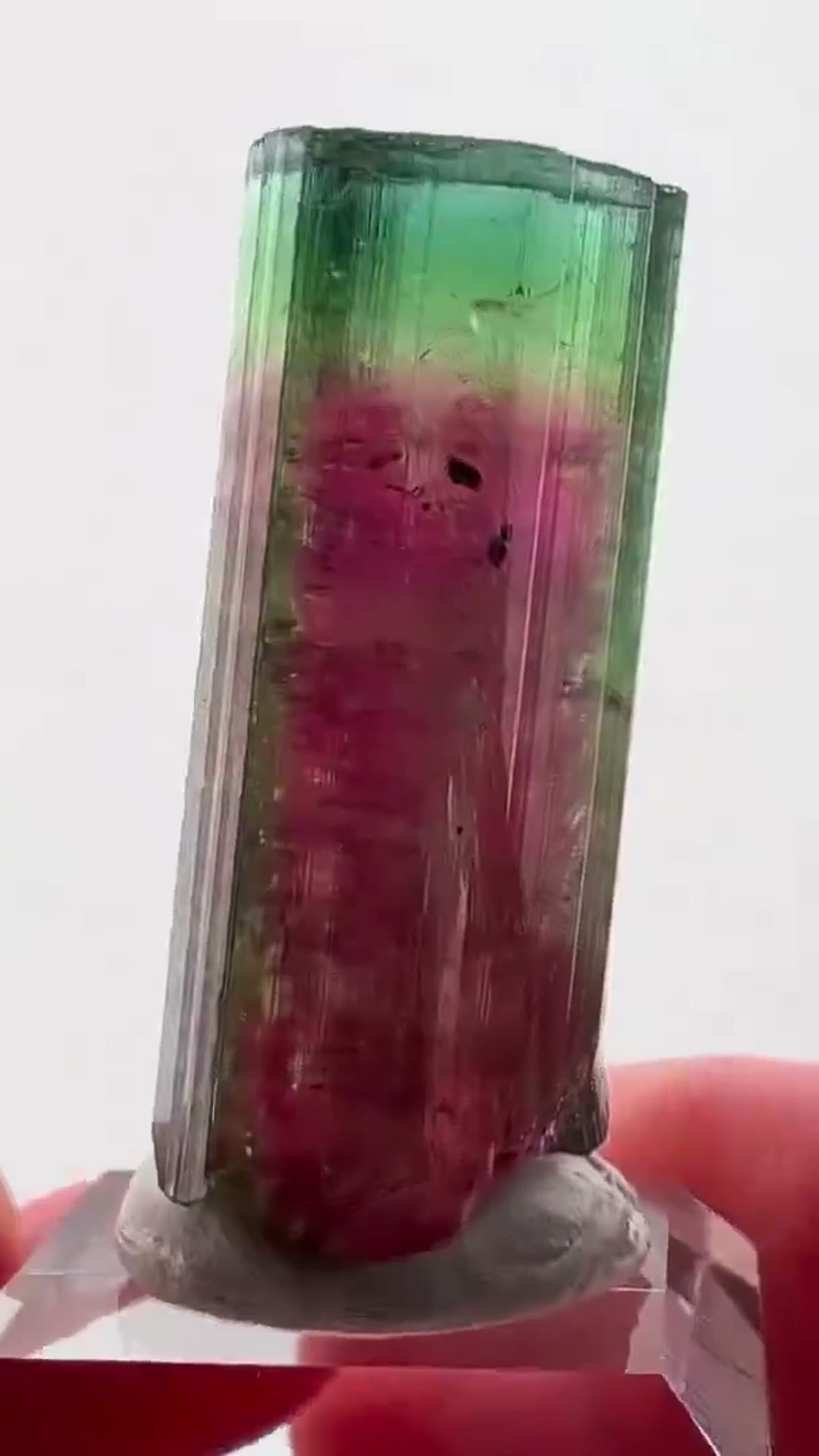 Elbaite Tourmaline Specimen from Minas Gerais, Brazil, 16.61 g - view 3