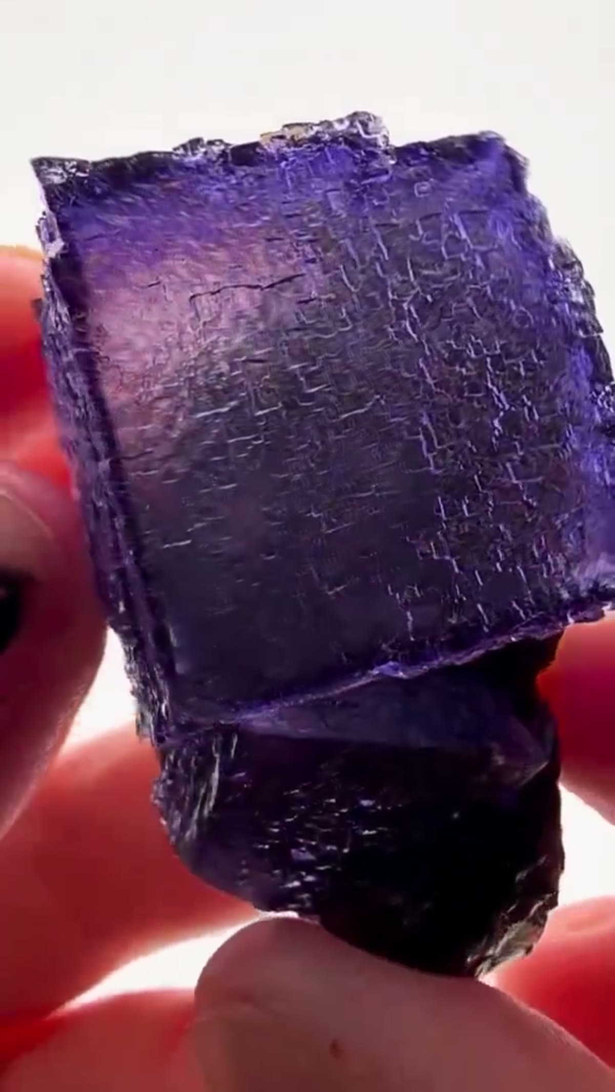 Fluorite Specimen from Elmwood Mine, Tennessee: Elmwood Perfection - view 2
