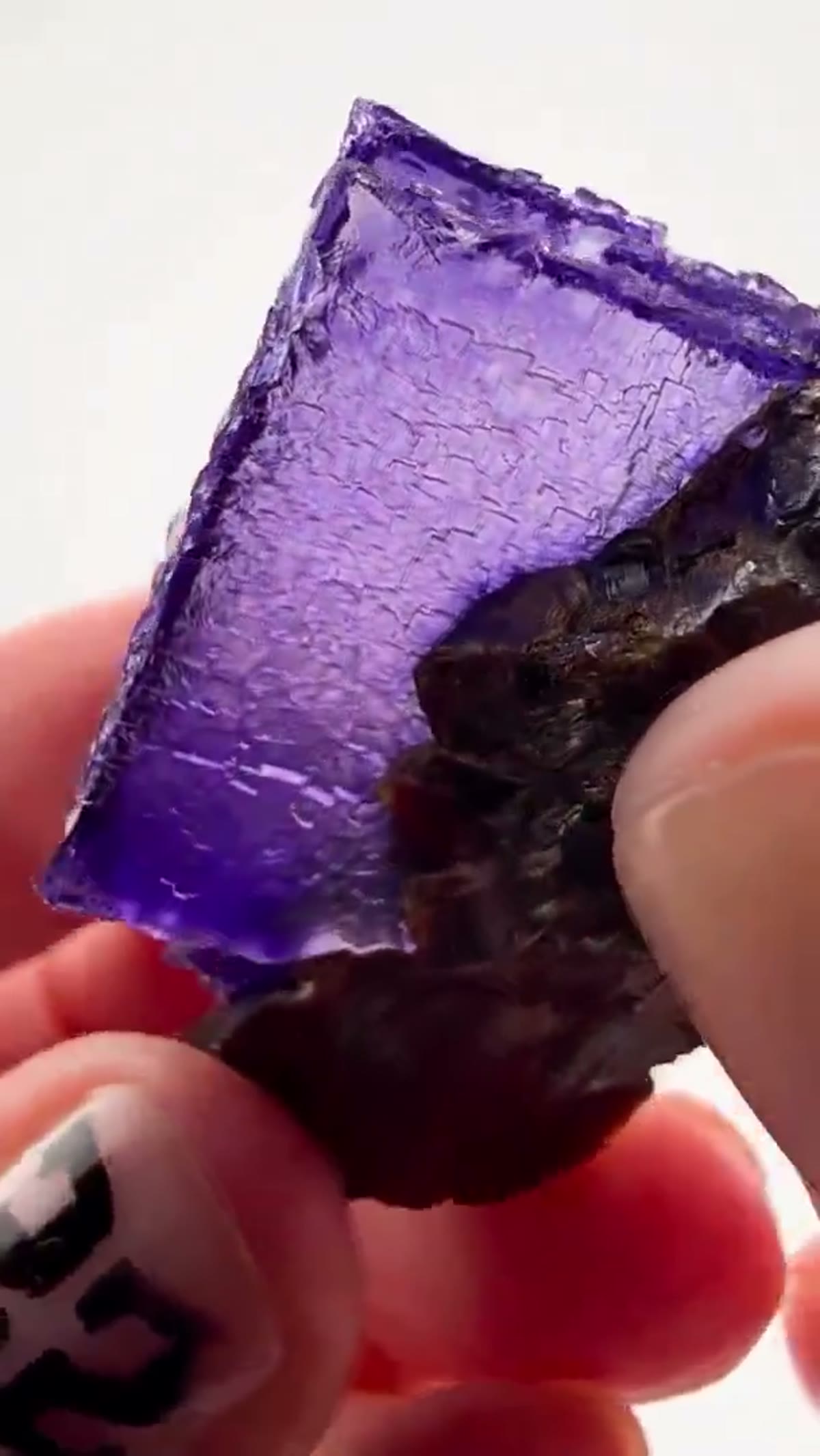 Fluorite Specimen from Elmwood Mine, Tennessee: Elmwood Perfection - view 3