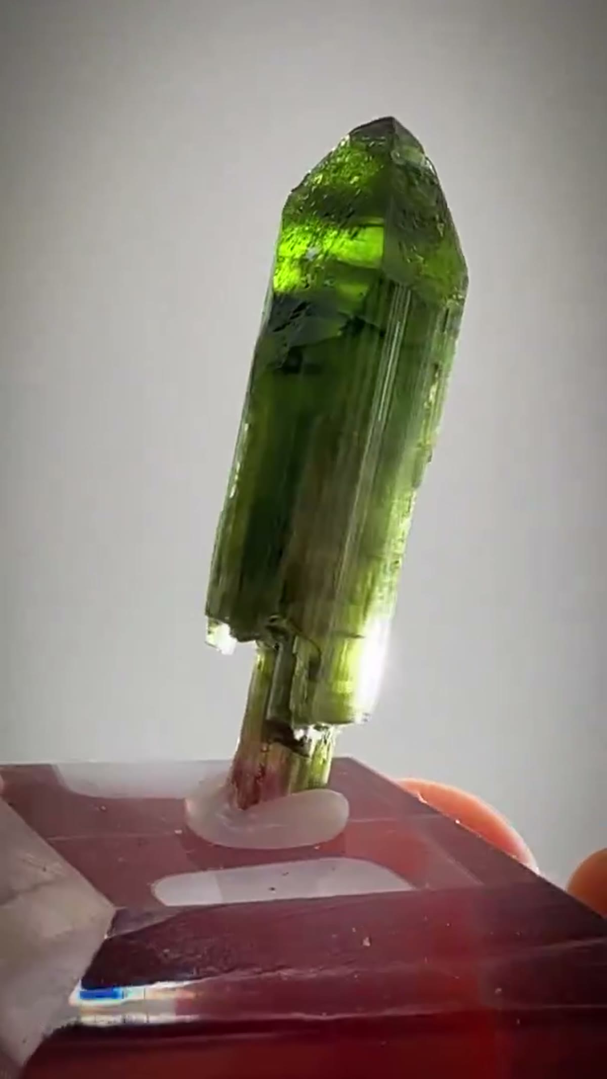 Elbaite Tourmaline Specimen from Aricanga Mine, Brazil: Aricanga Scepter Magic - view 2