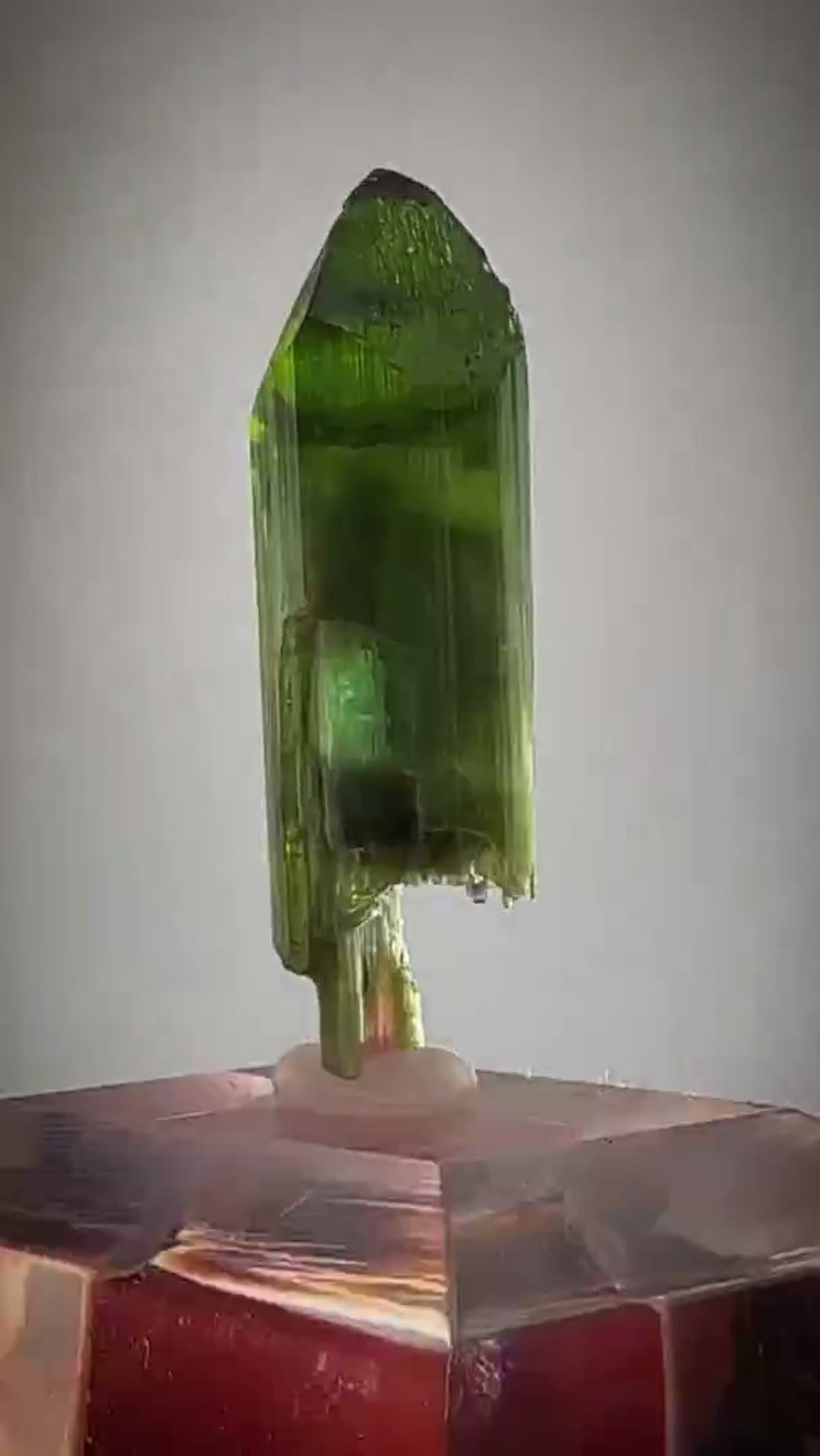 Elbaite Tourmaline Specimen from Aricanga Mine, Brazil: Aricanga Scepter Magic - view 3