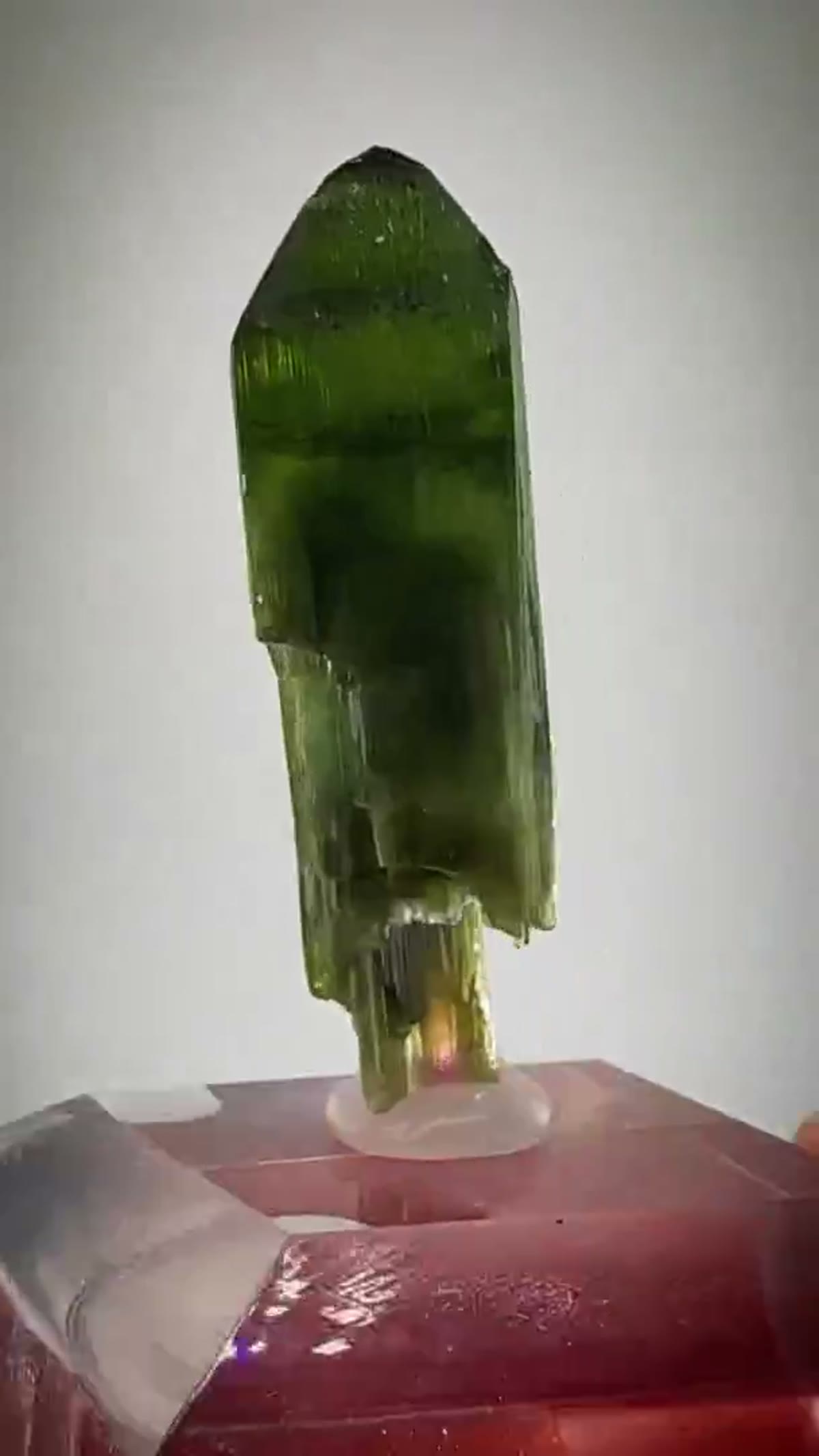 Elbaite Tourmaline Specimen from Aricanga Mine, Brazil: Aricanga Scepter Magic - view 4