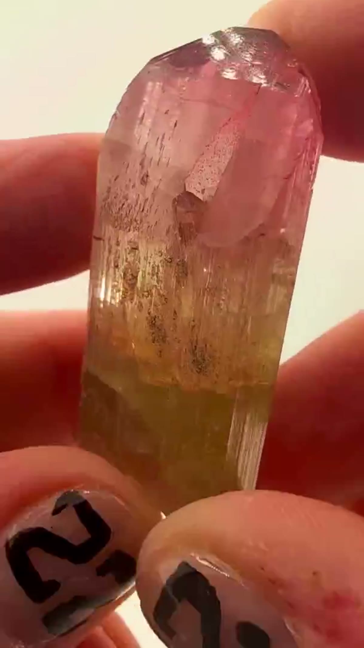 Elbaite Tourmaline Specimen from Malkhan, Russia, 28.08 g - view 3