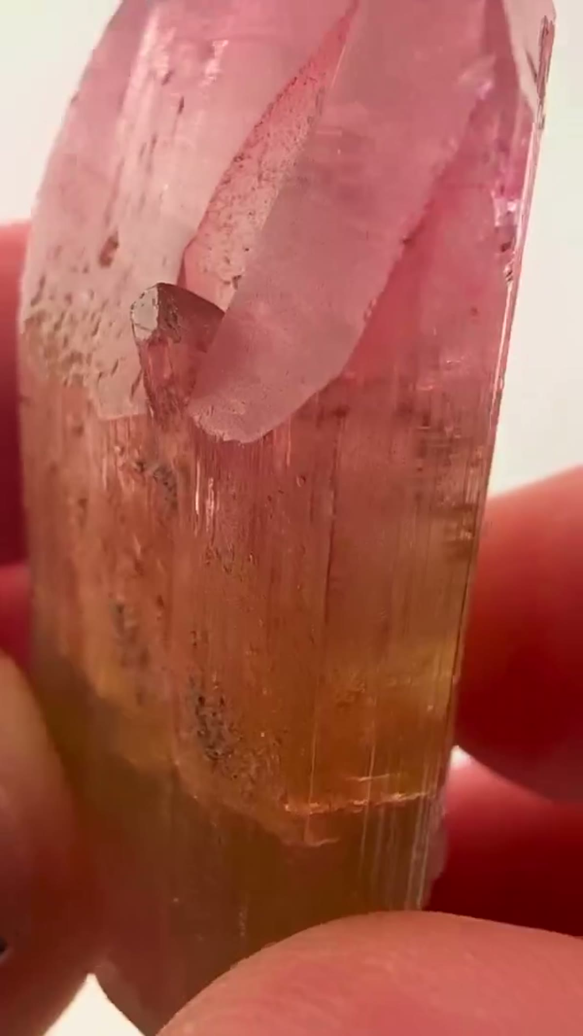 Elbaite Tourmaline Specimen from Malkhan, Russia, 28.08 g - view 4