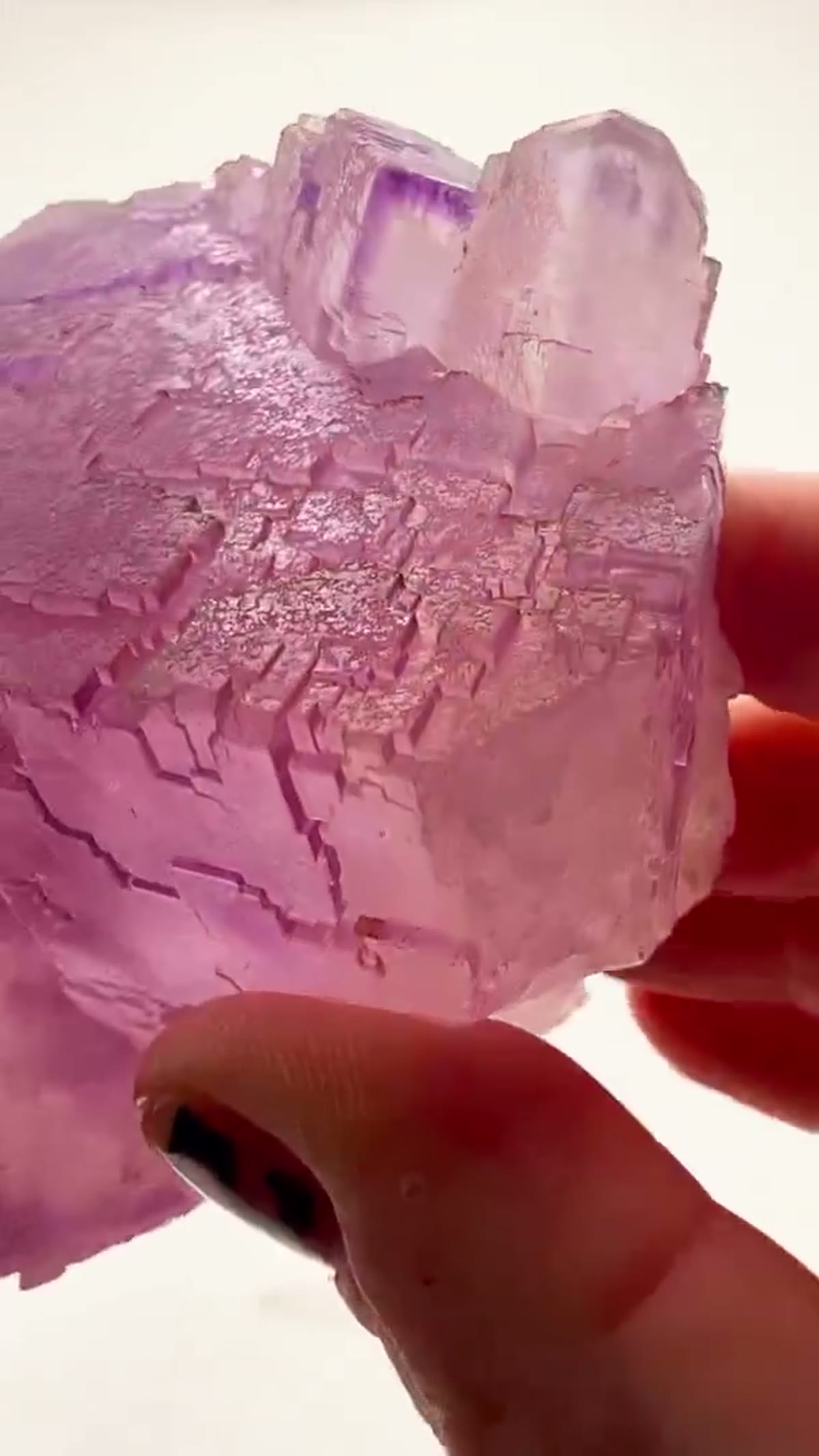 Fluorite Specimen from Illinois, USA: Asturias Elegance in Cube Form - view 3