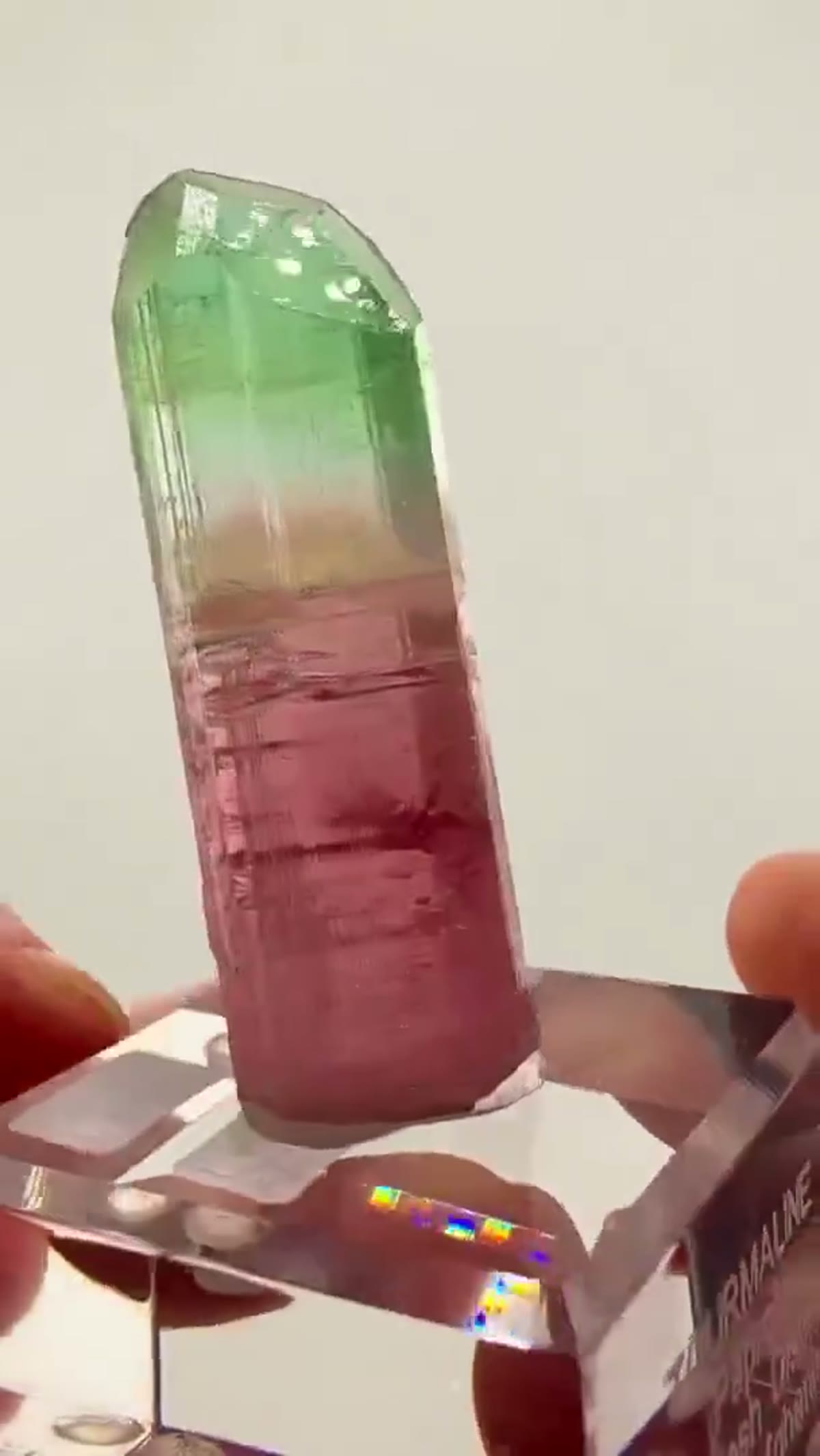 Elbaite Tourmaline Specimen from Paprok, Afghanistan, 29.89 g - view 2