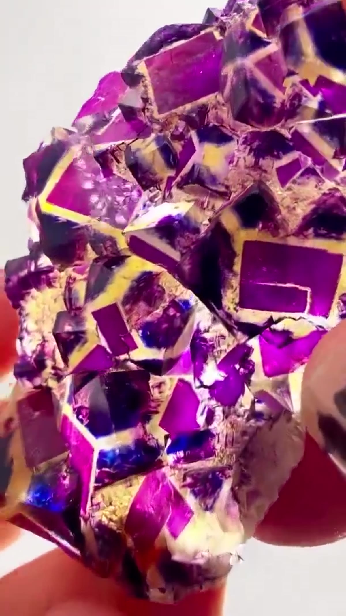Fluorite Specimen from Namibia: Polish Prodigy Pocket Perfection - view 2