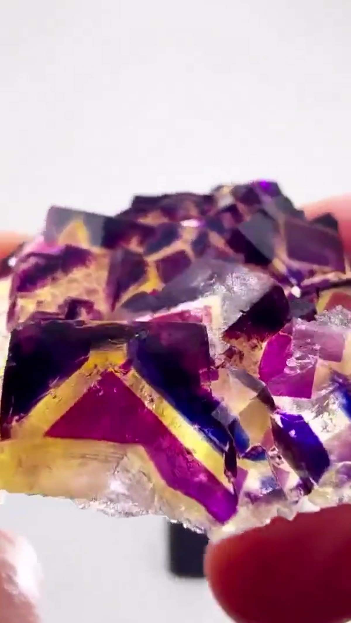 Fluorite Specimen from Namibia: Polish Prodigy Pocket Perfection - view 3