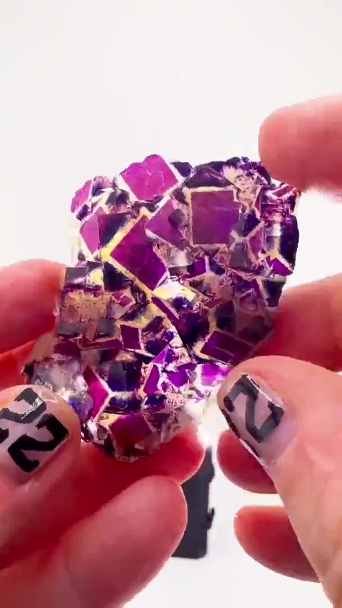 Fluorite Specimen from Namibia: Polish Prodigy Pocket Perfection - view 4