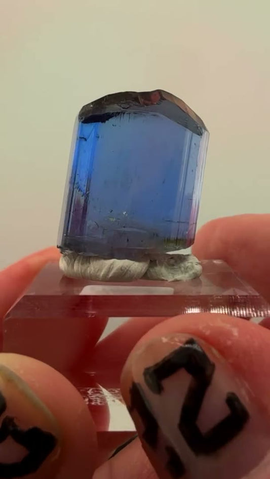 GEM