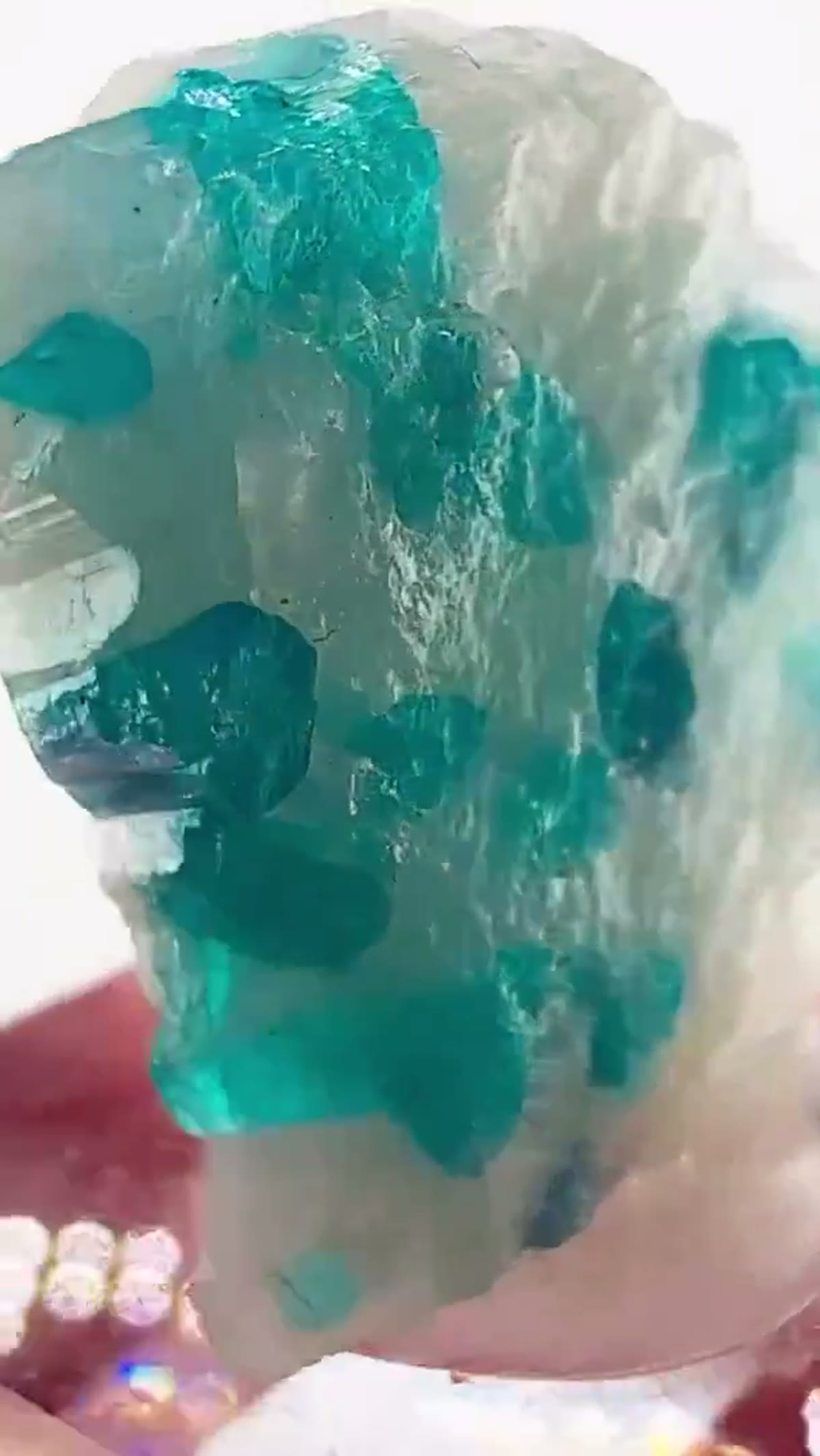 Elbaite Tourmaline Specimen from Brazil: Electric blue Brazilian insanity - view 2
