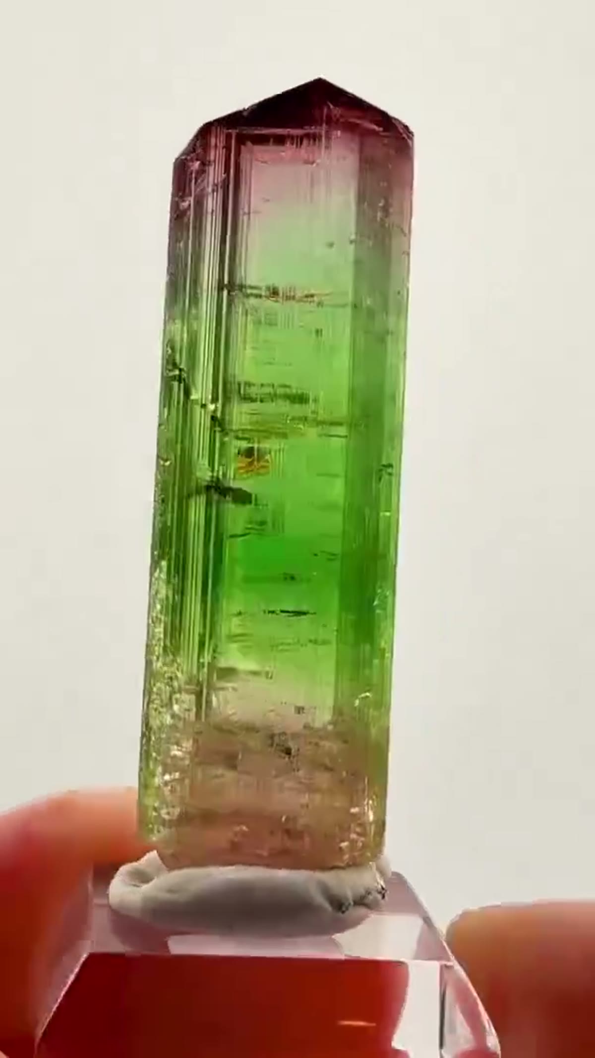 Elbaite Tourmaline Specimen from Paprok, Afghanistan, 30.8 g: 30.8 grams of pure Paprok magic - view 2