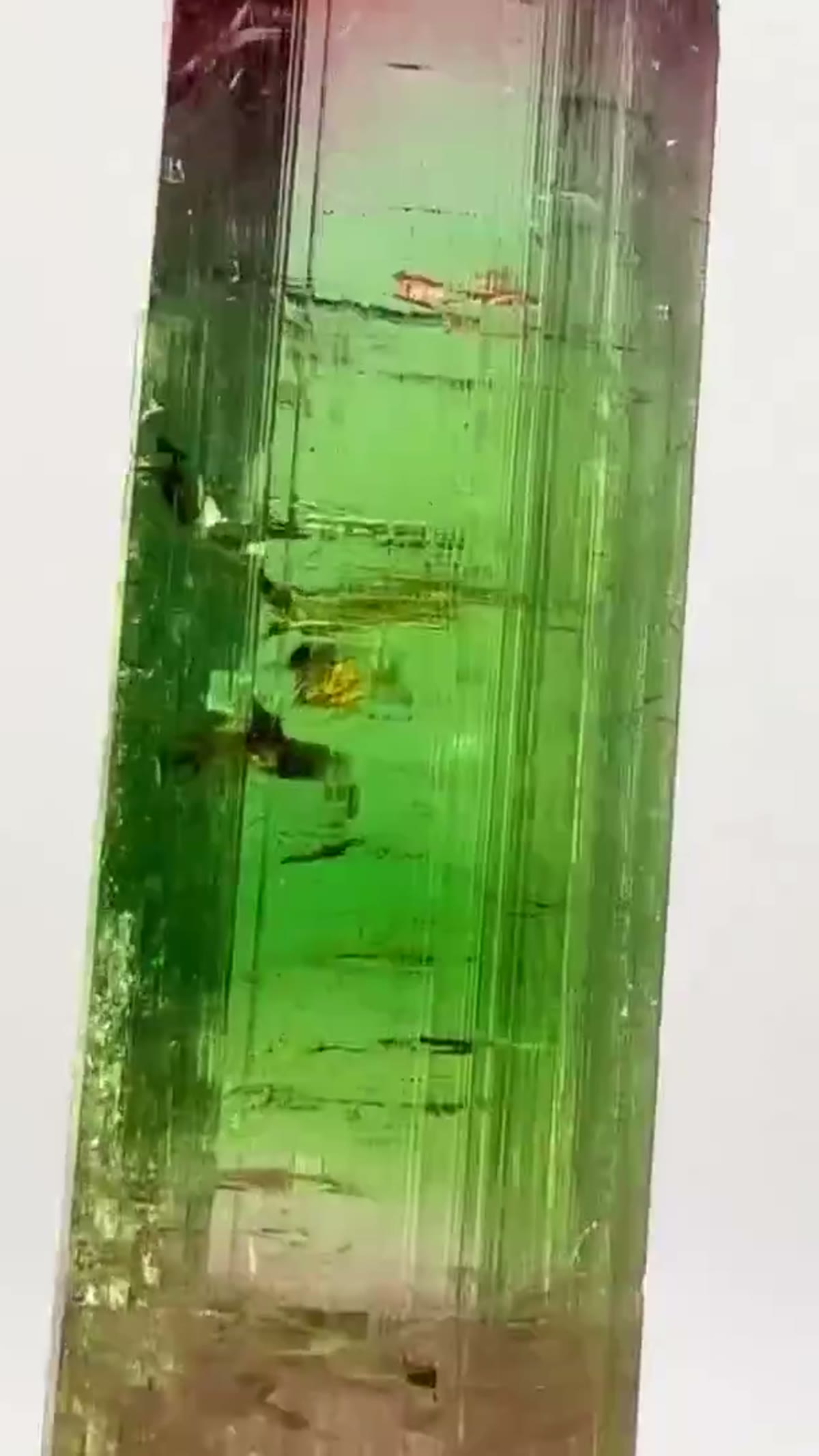 Elbaite Tourmaline Specimen from Paprok, Afghanistan, 30.8 g: 30.8 grams of pure Paprok magic - view 4