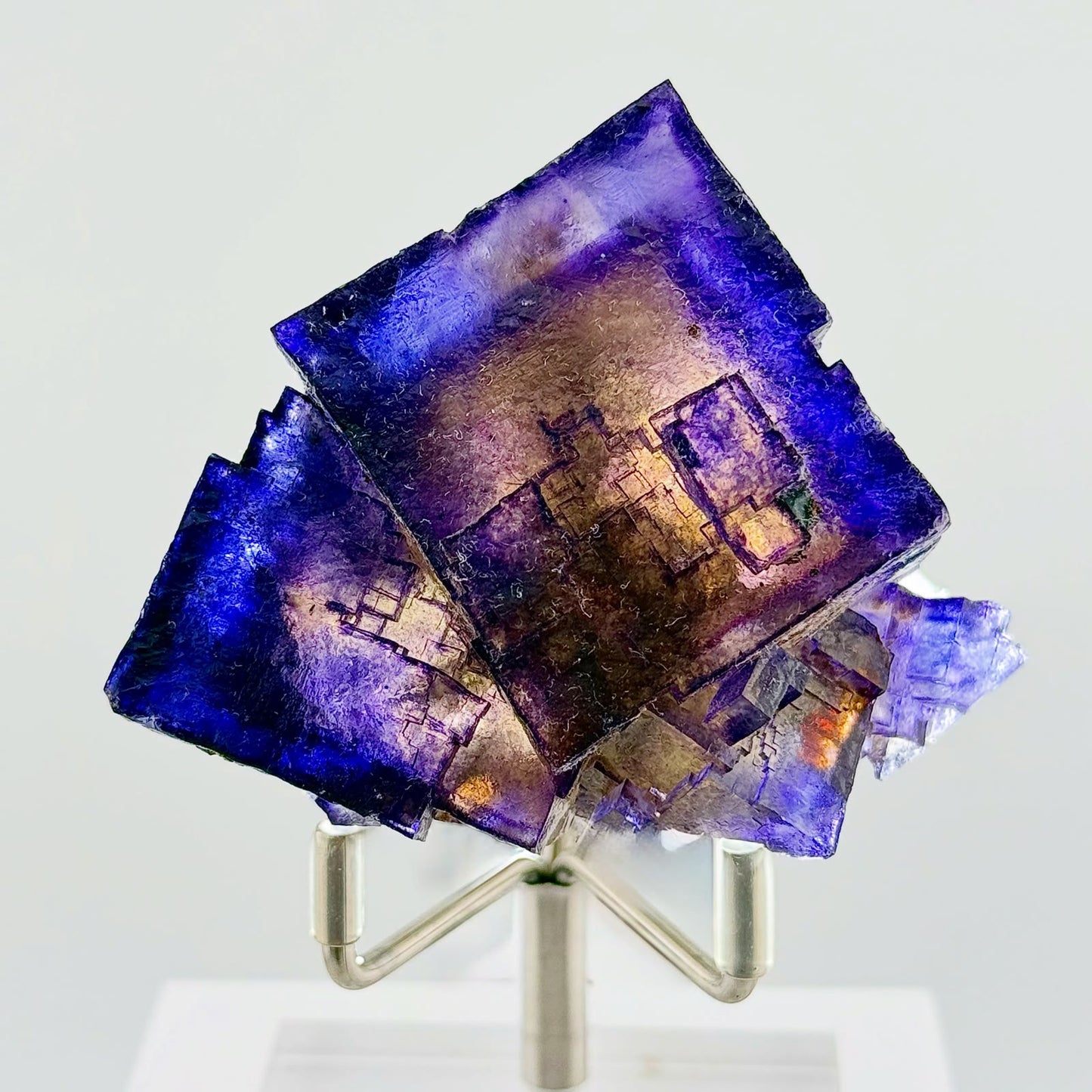 Electric blurple perfection straight out of Southern Illinois