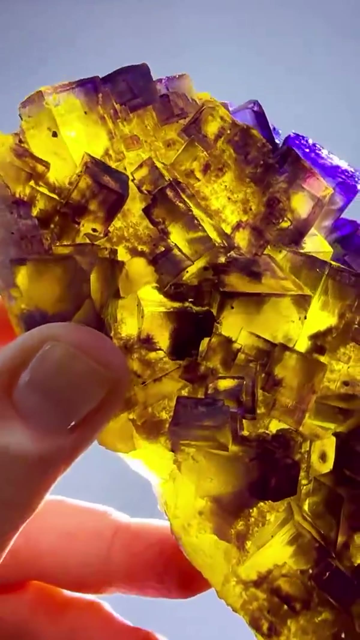 Fluorite Specimen from Denton Mine, Illinois: Tri-Color Denton Perfection - view 2