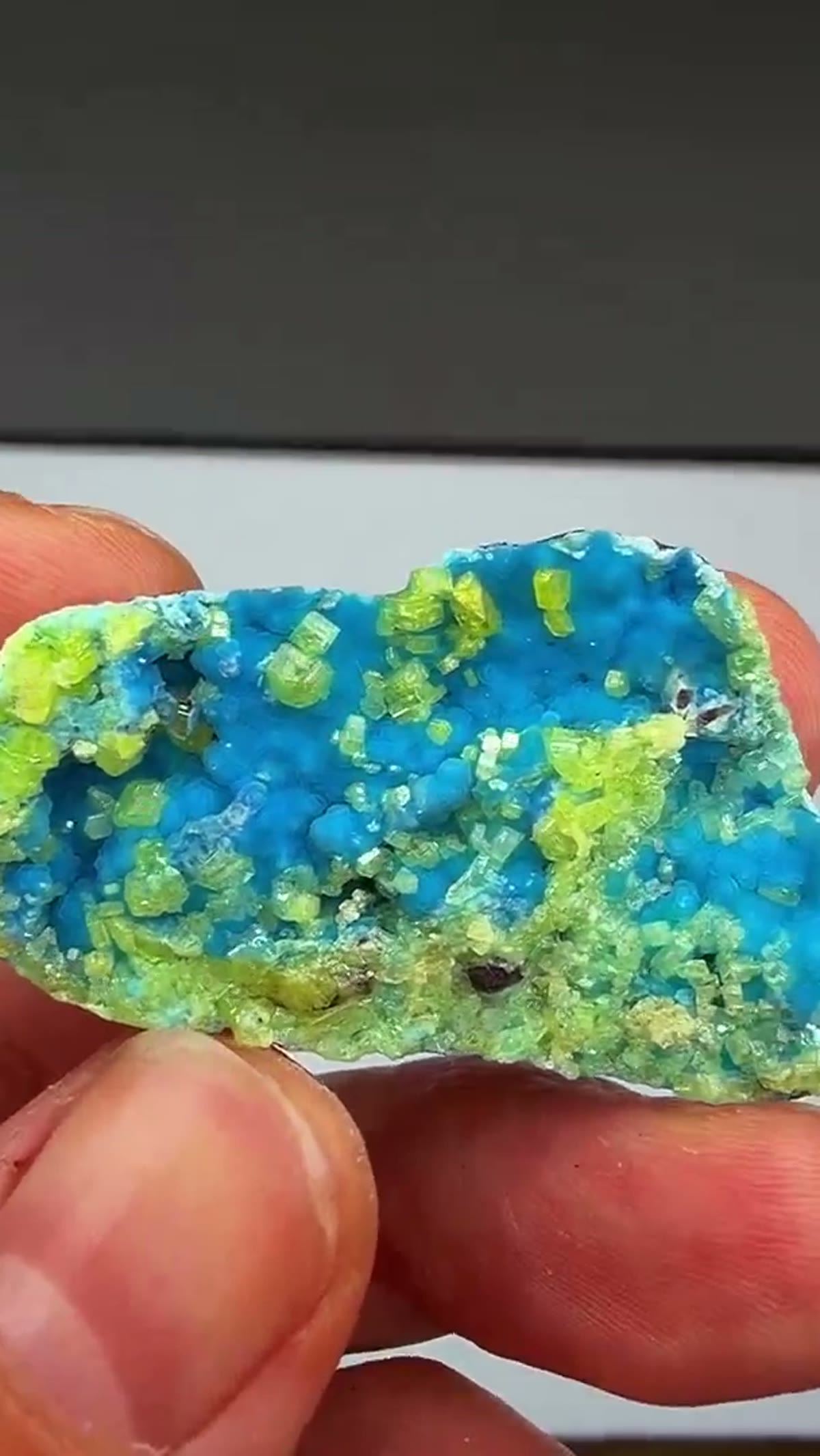 Philipsbornite Specimen: Philipsbornite with Mimetite… A Special Find From THE - view 2