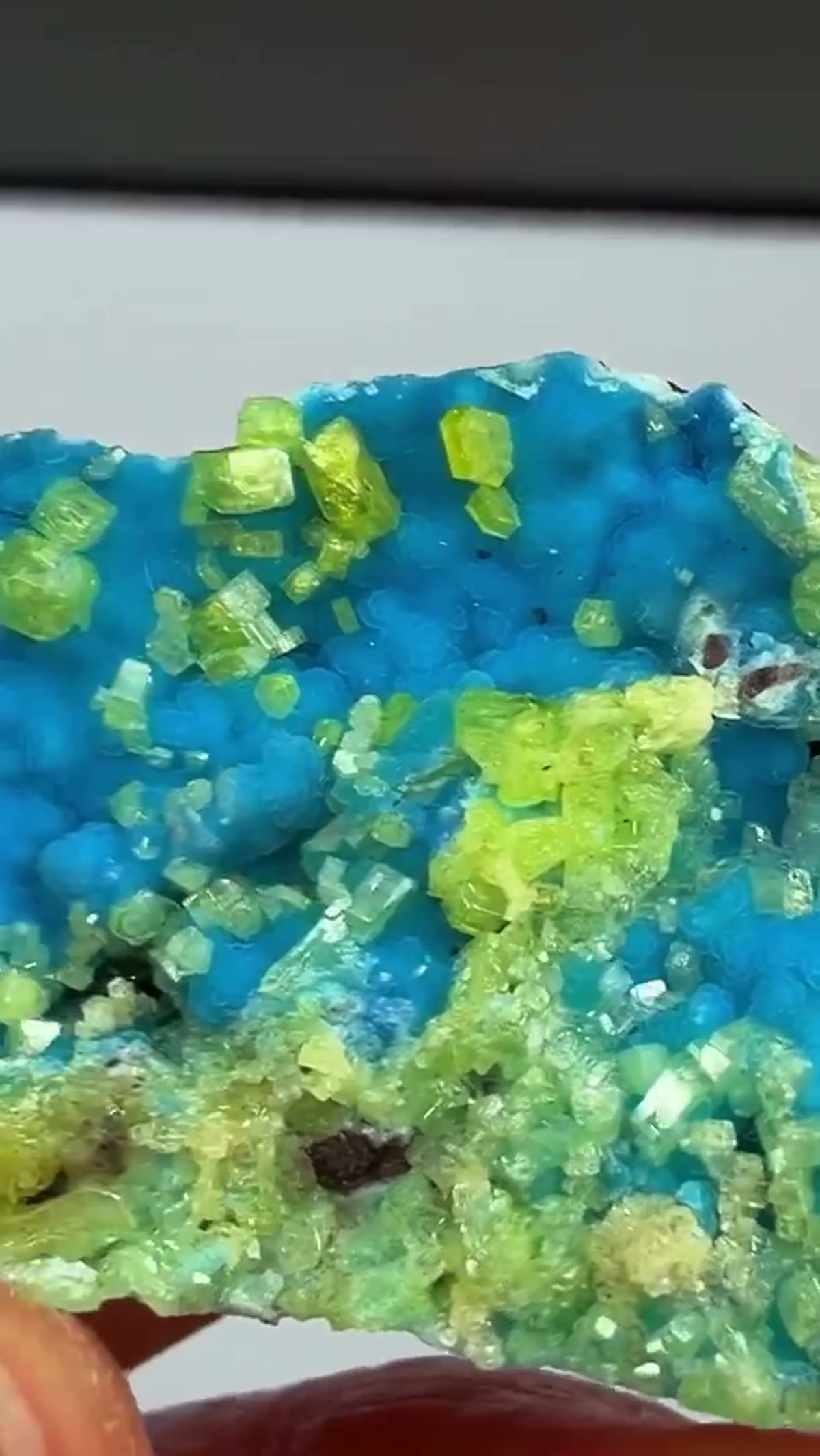 Philipsbornite Specimen: Philipsbornite with Mimetite… A Special Find From THE - view 3