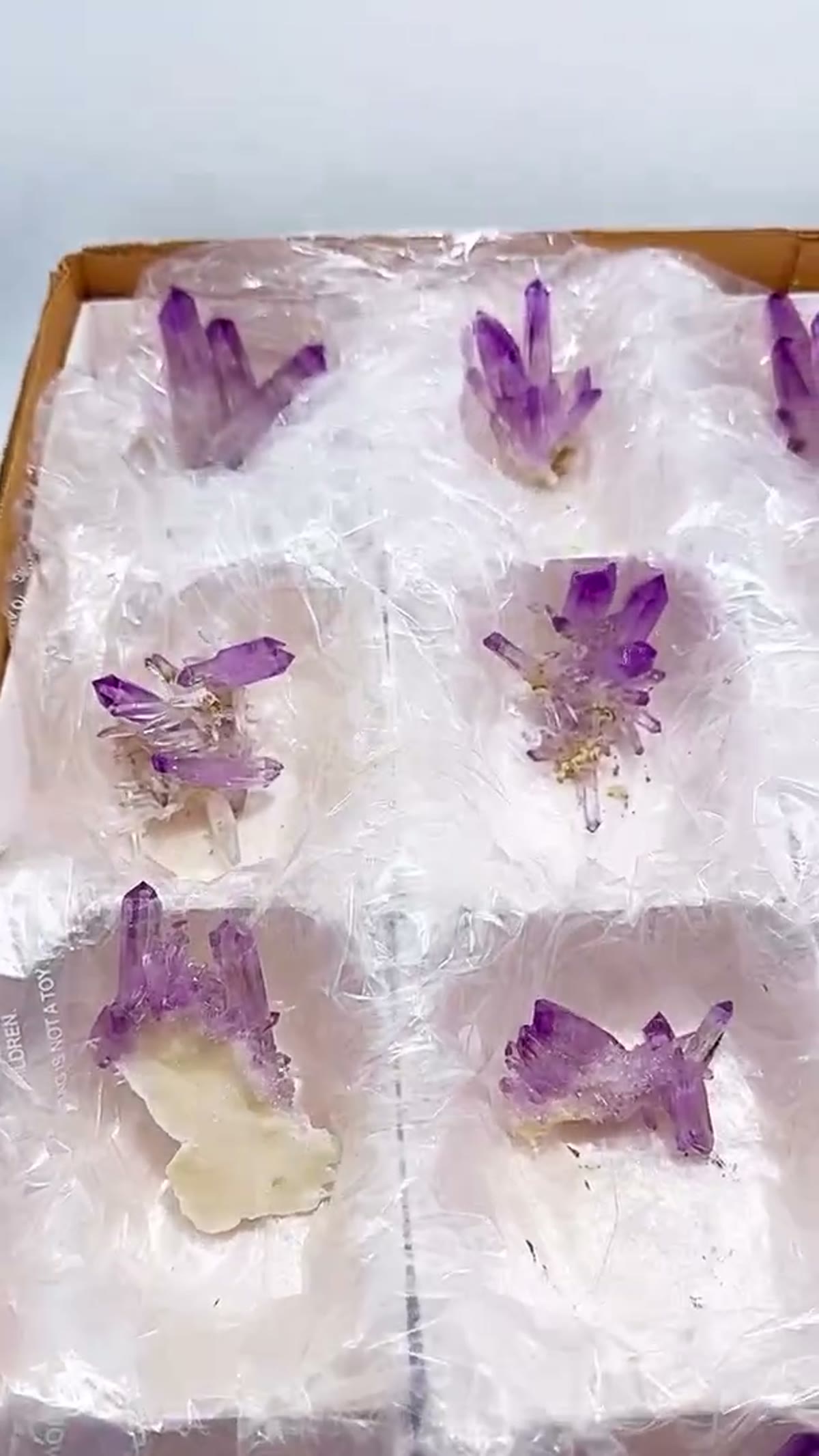 Amethyst Specimen from Mexico: Veracruz Parcel Alert — 12 High-Grade Stunners! - view 2