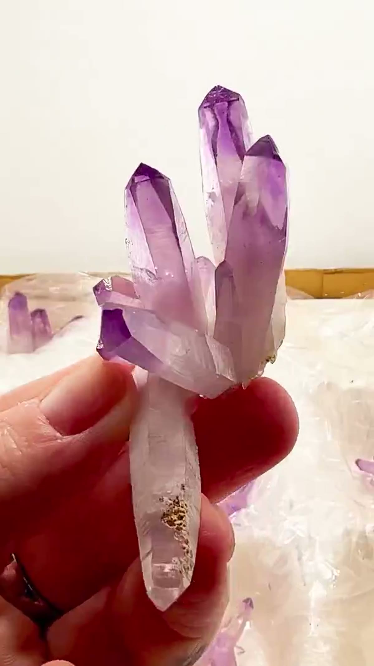 Amethyst Specimen from Mexico: Veracruz Parcel Alert — 12 High-Grade Stunners! - view 3