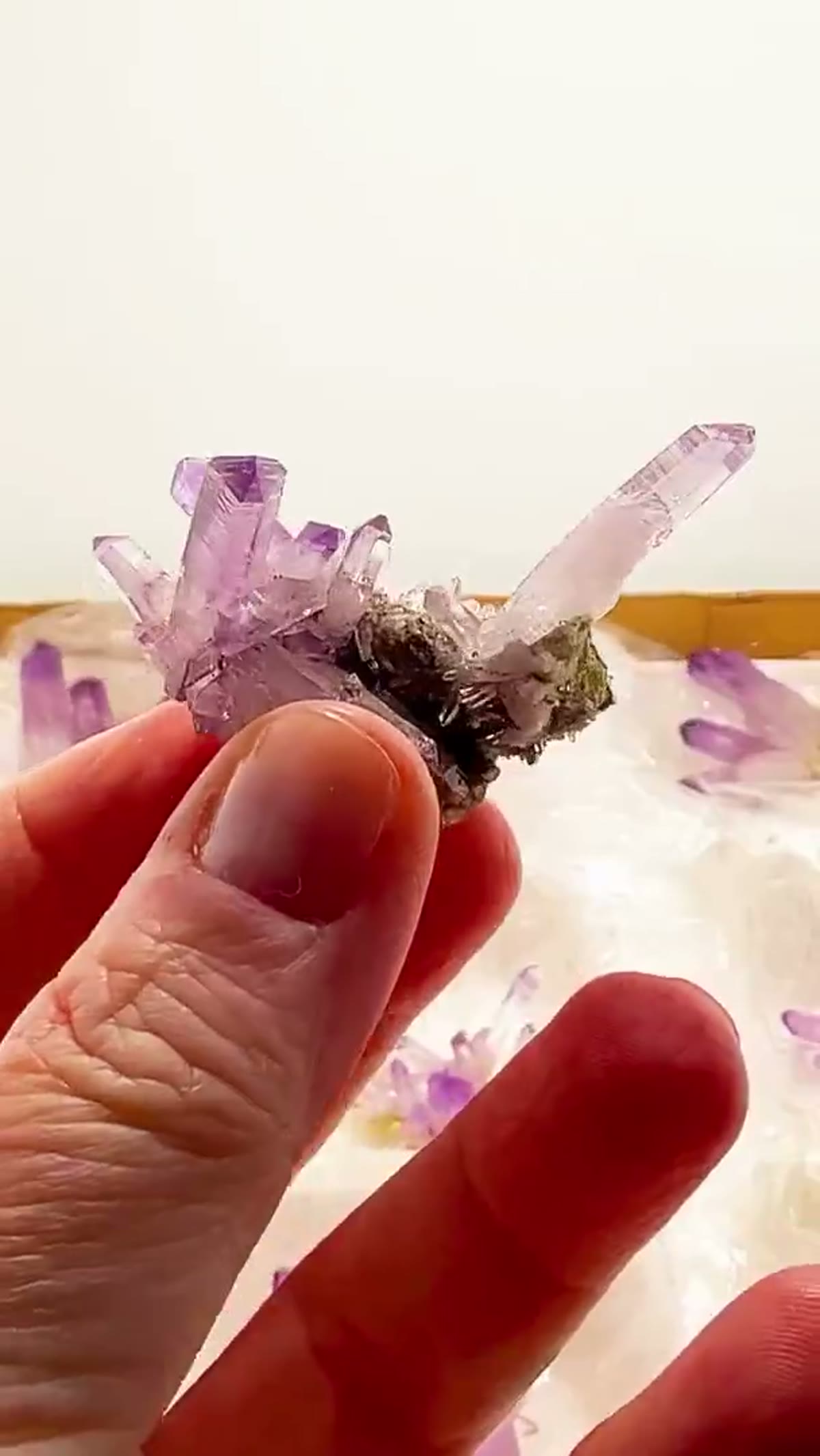Amethyst Specimen from Mexico: Veracruz Parcel Alert — 12 High-Grade Stunners! - view 4