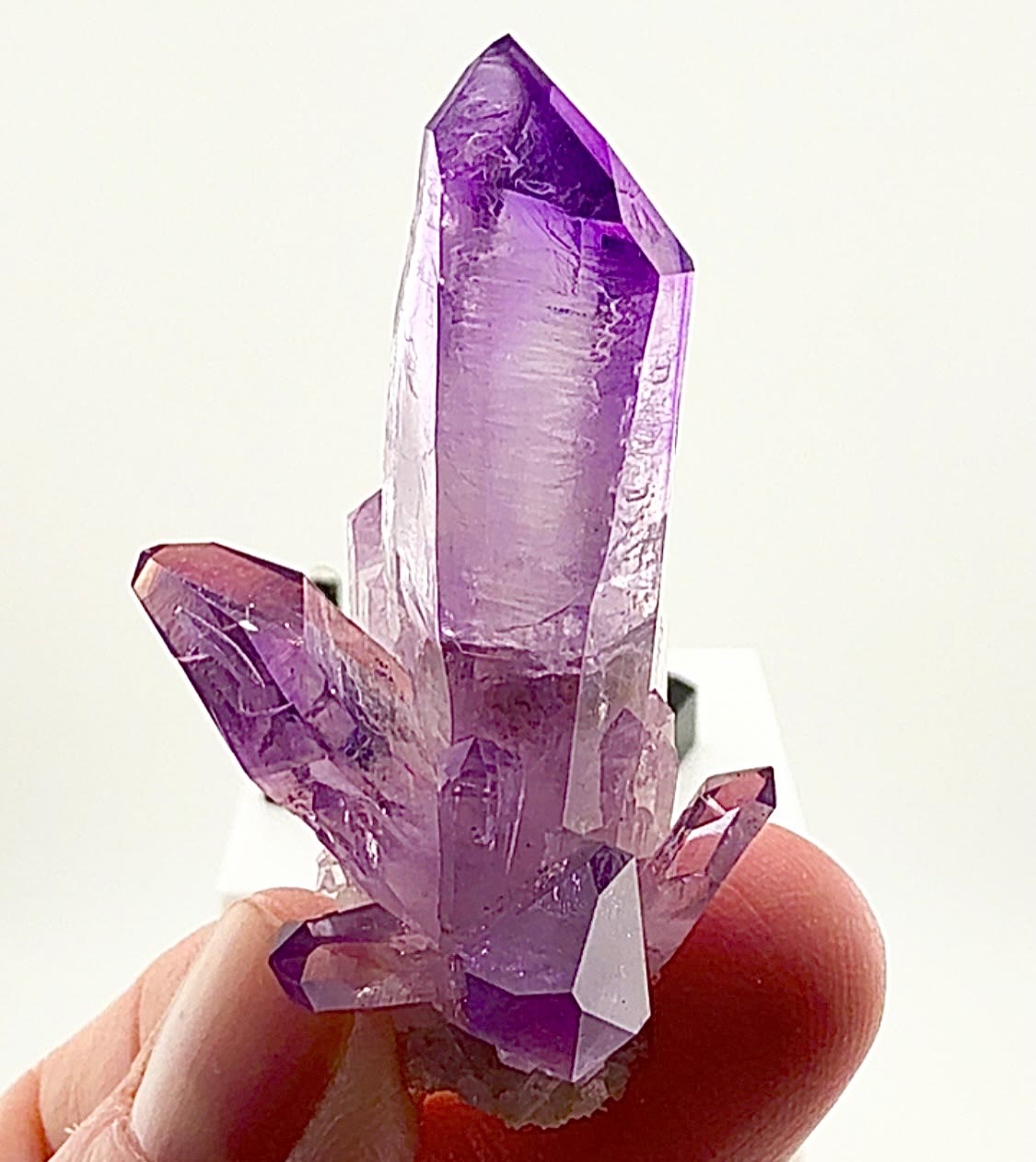 ANOTHER VERACRUZ STUNNER… COLOR, CLARITY & FORM