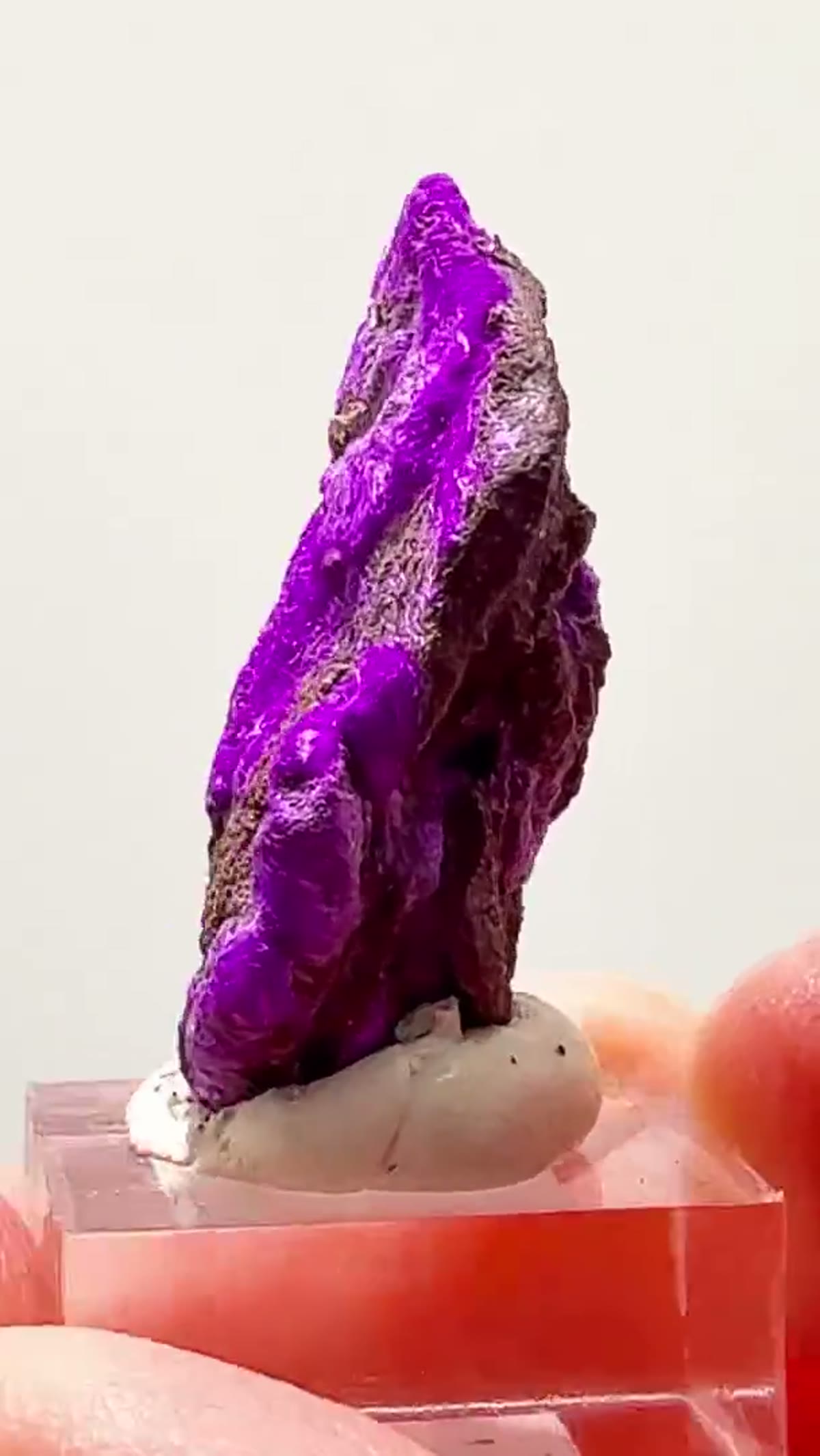 Mineral Specimen: Wessels Mine Sugilite — That Purple is Insane - view 2