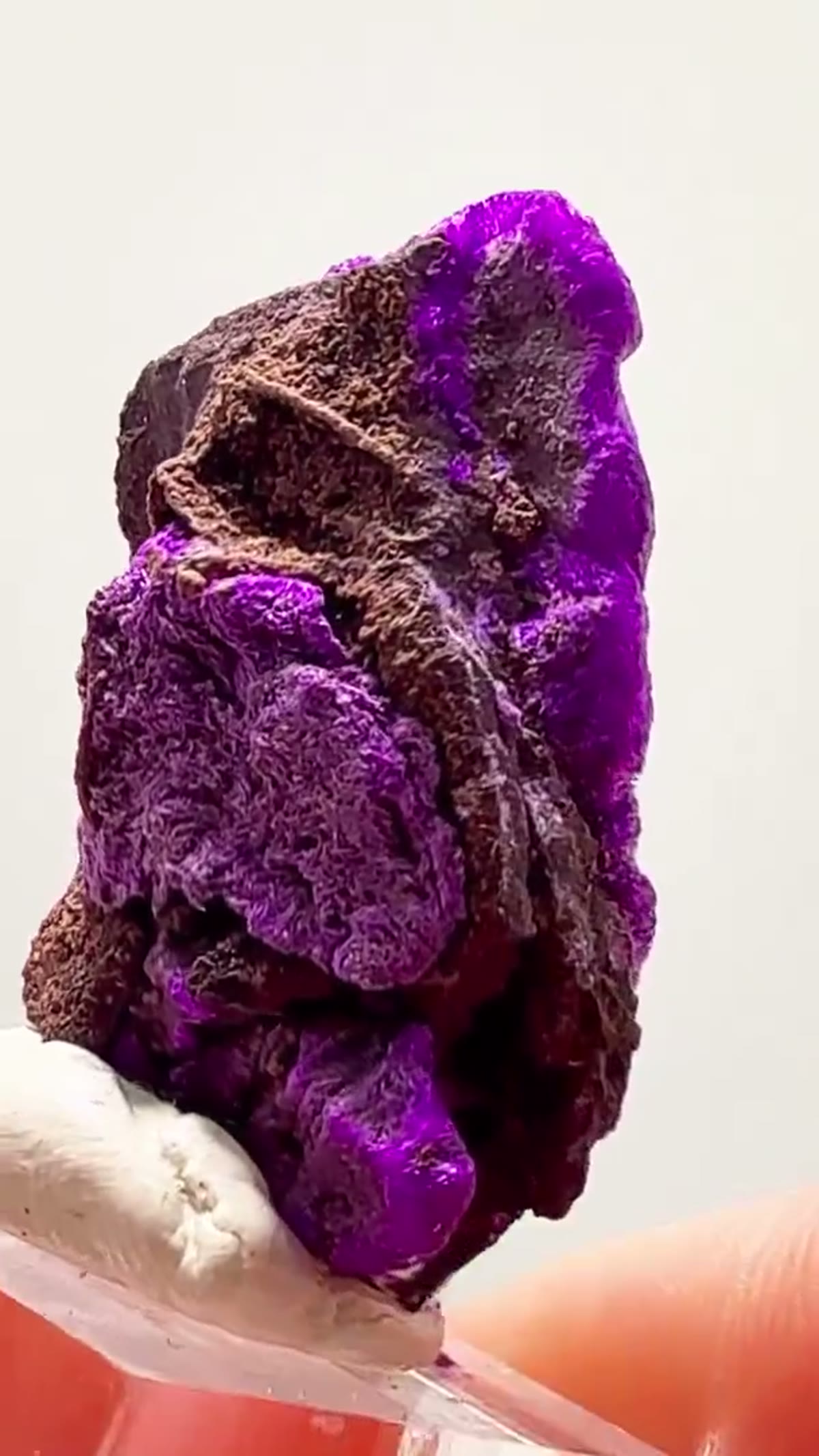 Mineral Specimen: Wessels Mine Sugilite — That Purple is Insane - view 3