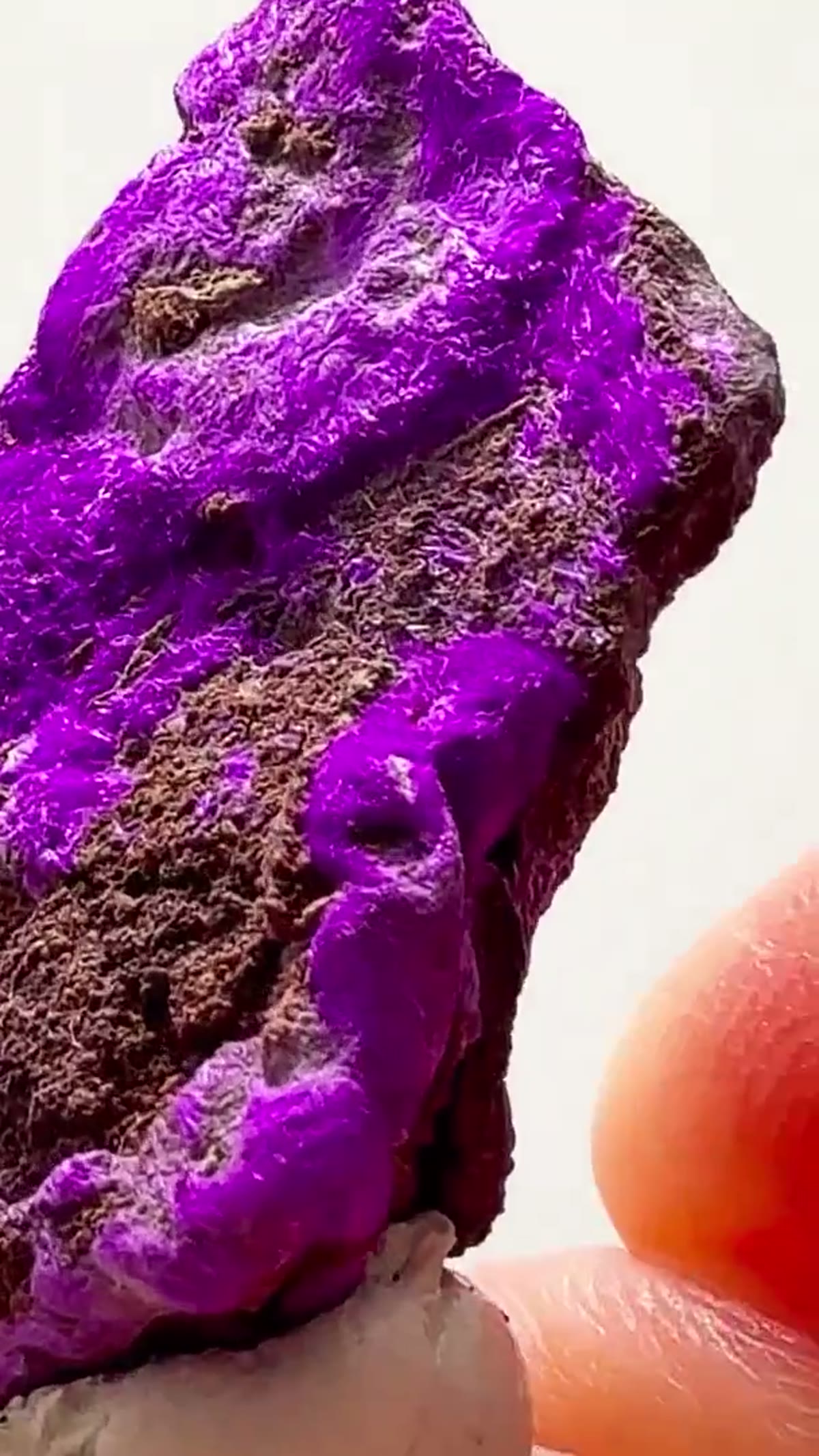 Mineral Specimen: Wessels Mine Sugilite — That Purple is Insane - view 4