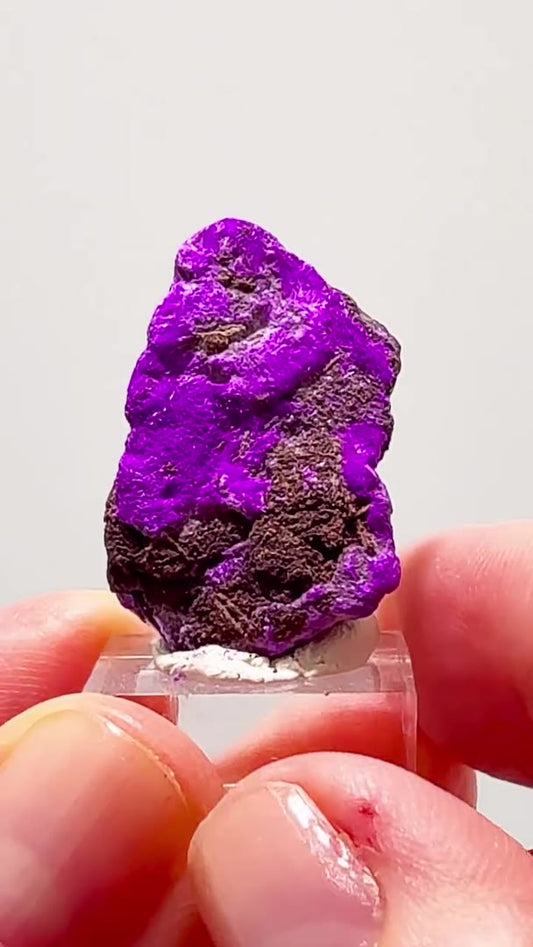 WESSELS MINE SUGILITE — THAT PURPLE IS INSANE