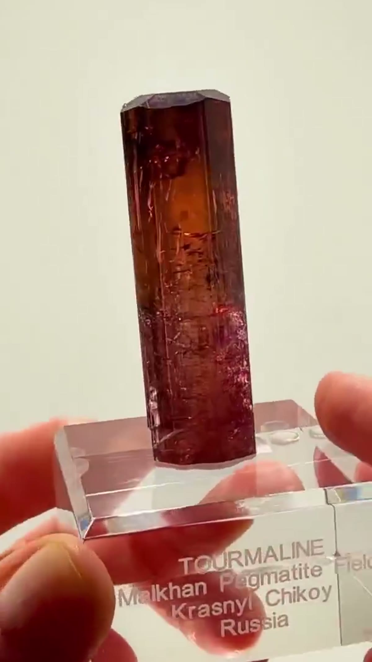 Elbaite Tourmaline Specimen from Malkhan, Russia, 37.58 g: Russian Tourmaline Perfection — 37.58 Grams - view 2