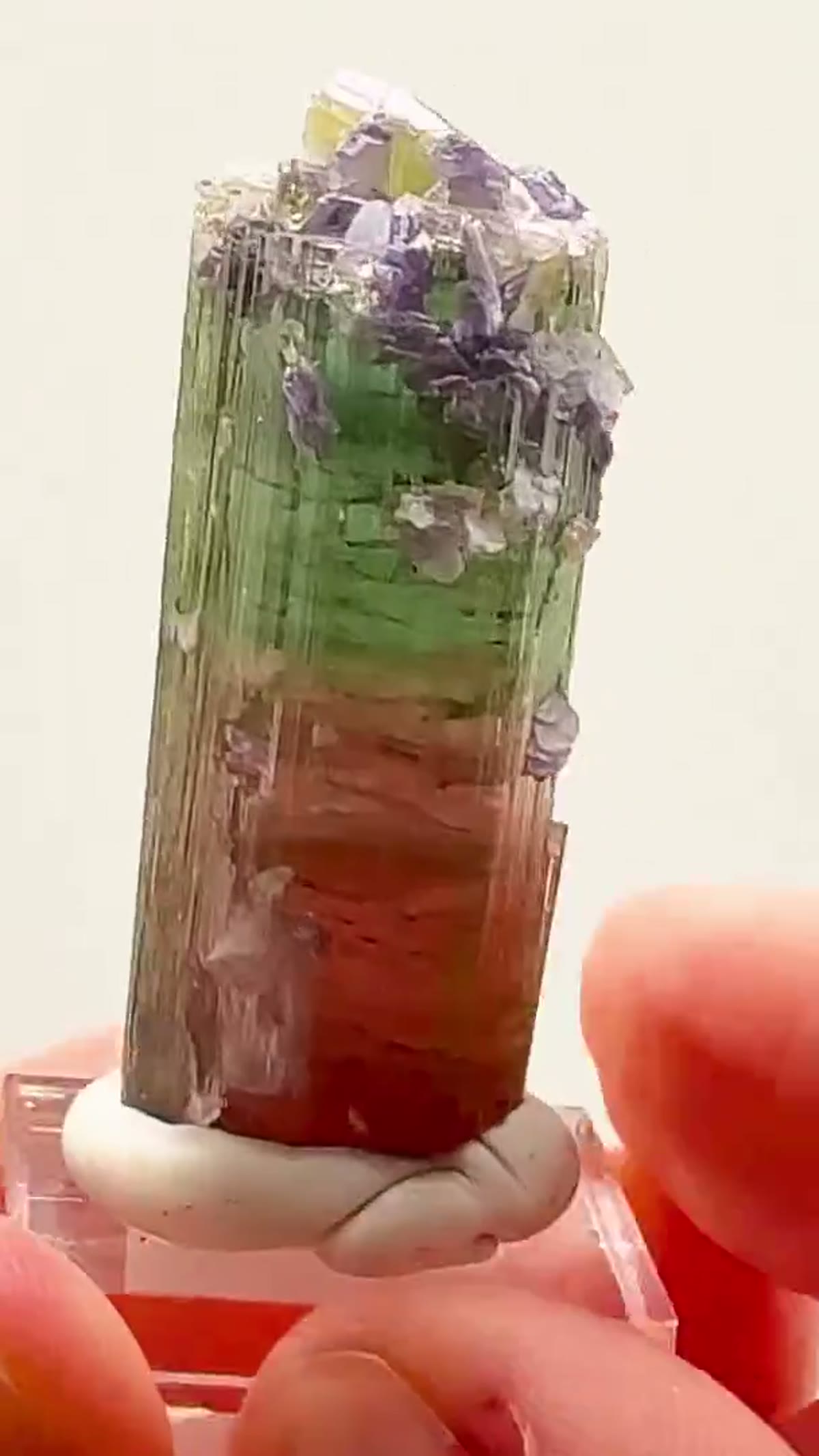 Elbaite Tourmaline Specimen, 25 g: Tourmaline + Purple Lepidolite - view 2