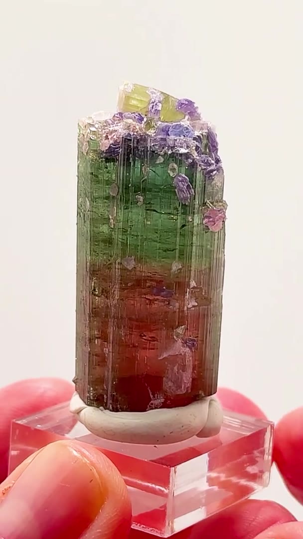 TOURMALINE + PURPLE LEPIDOLITE