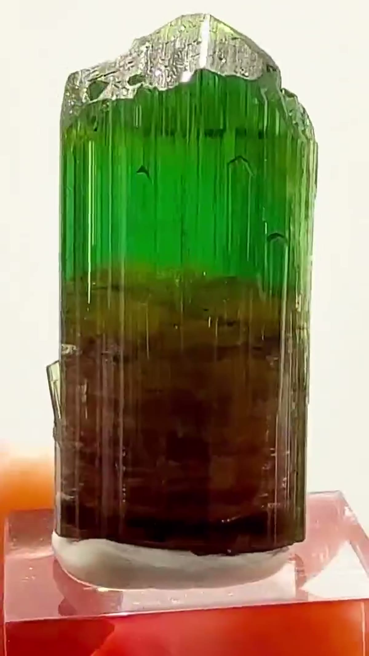 Elbaite Tourmaline Specimen from Minas Gerais, Brazil, 18.87 g - view 2